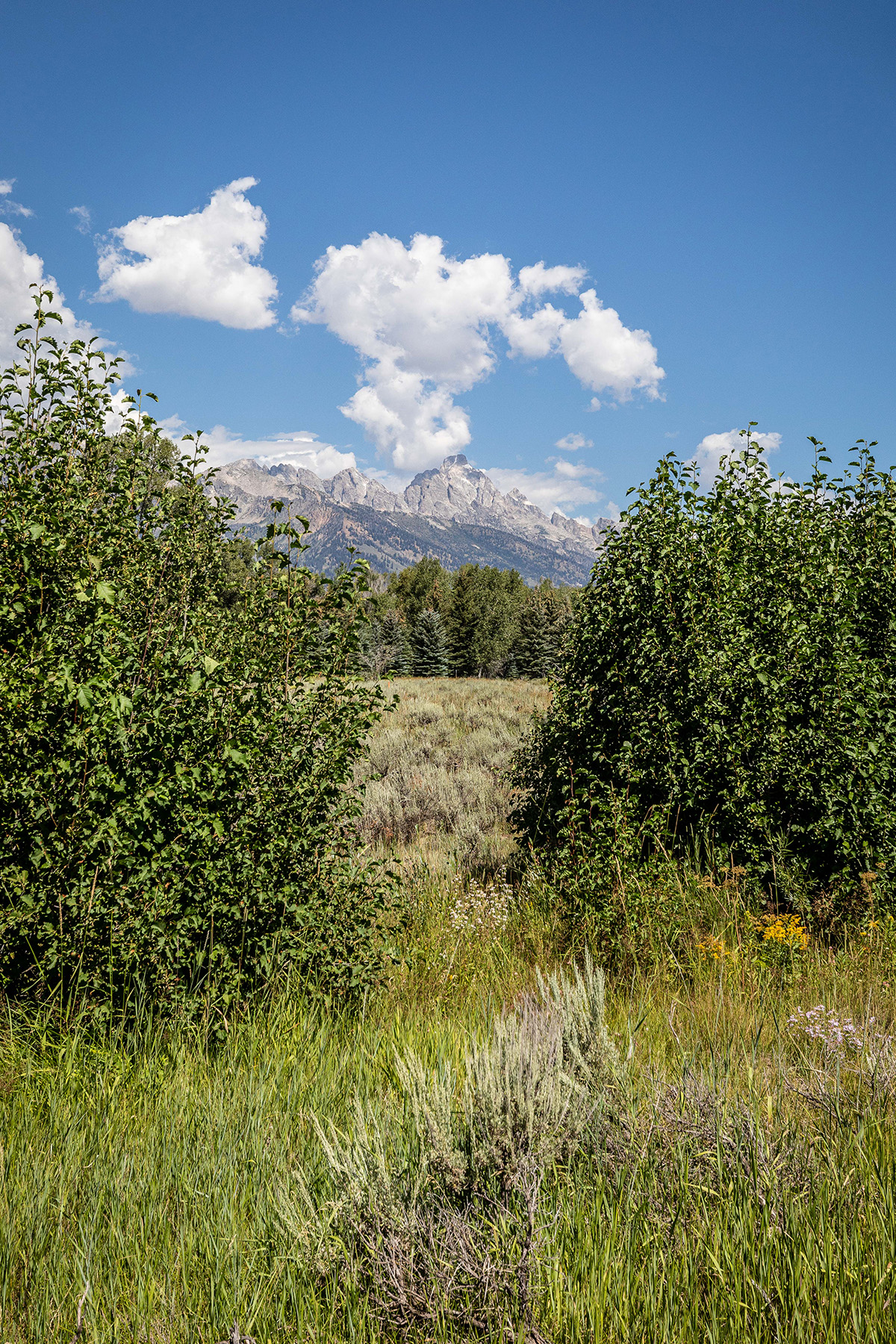 8850 N Deland Drive 