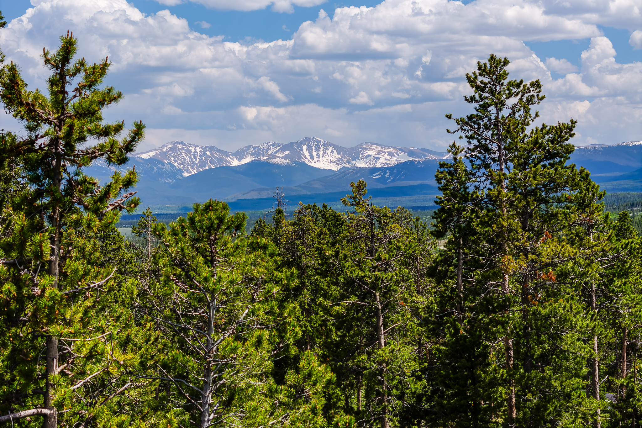 13 GCR 5116 