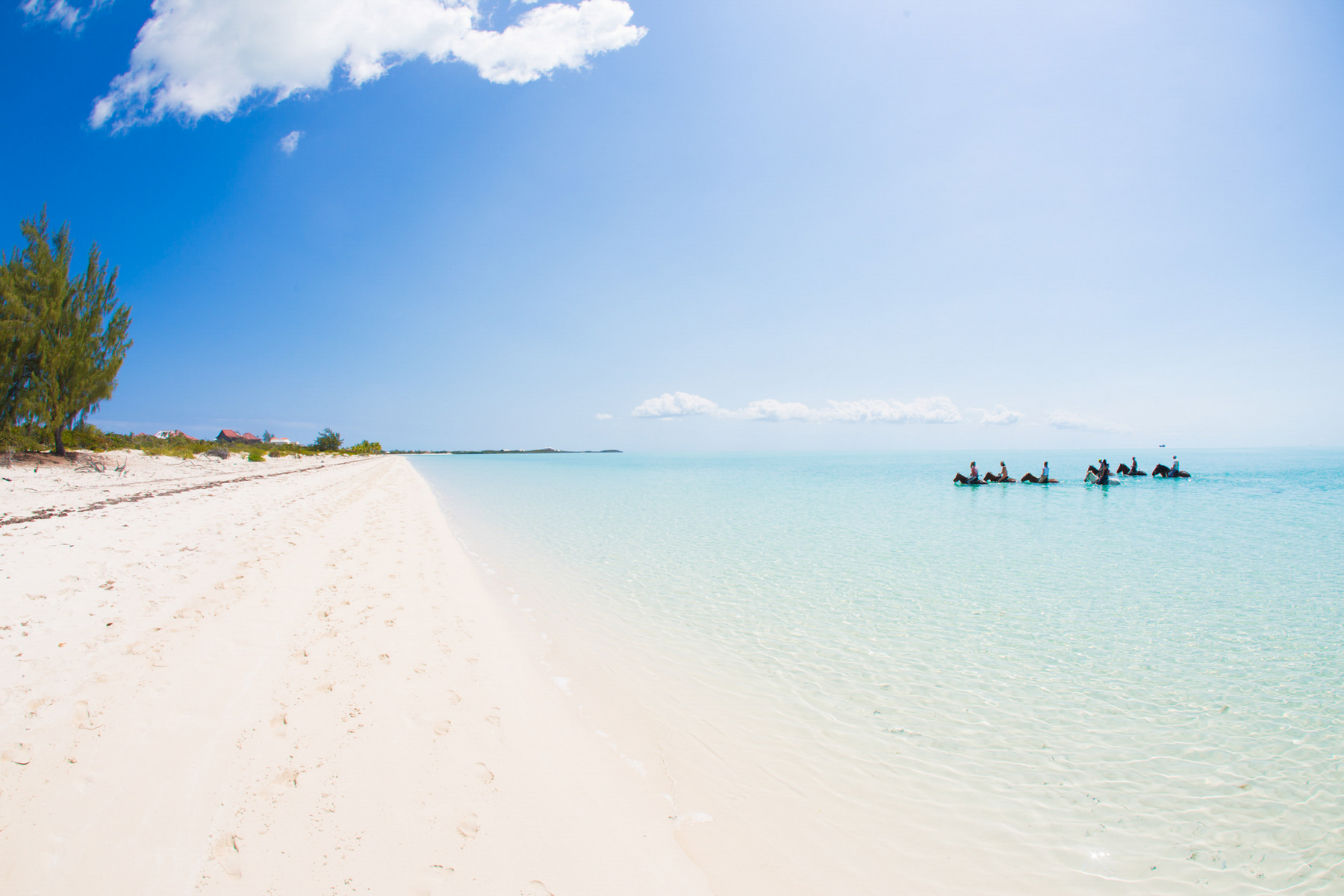 The Shore Club - Suite 1501-1503