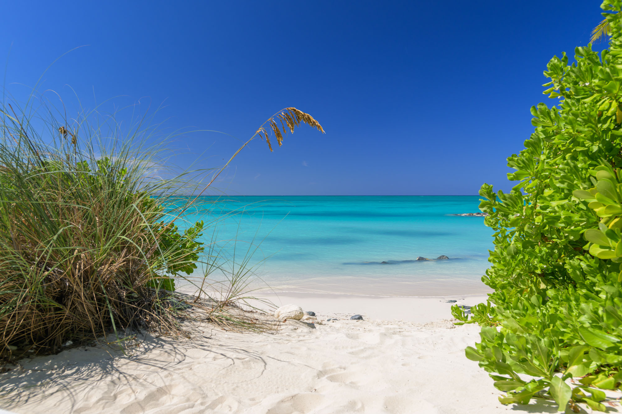 Beach Enclave Grace Bay Villa 2