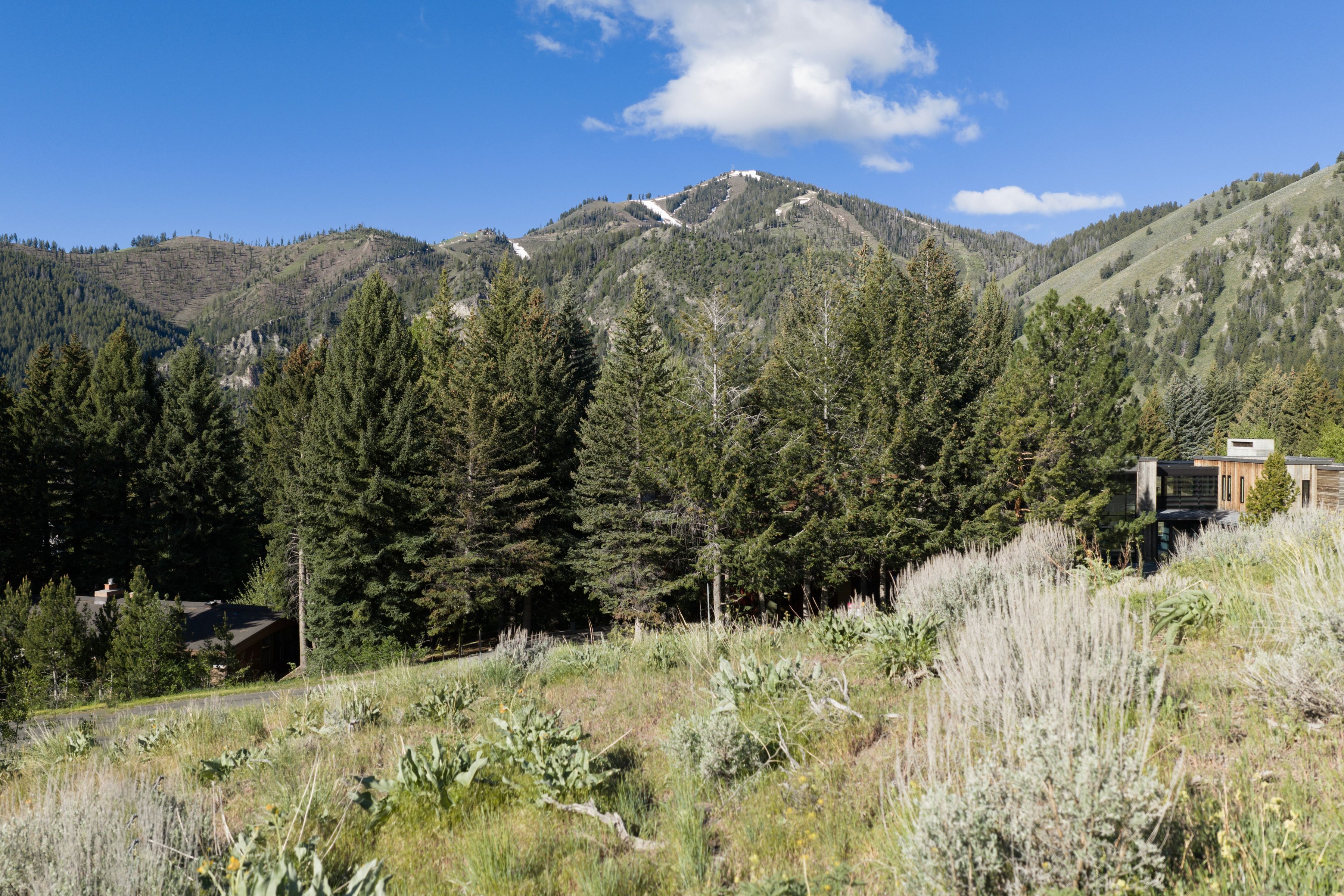 TBD Walnut Avenue, Lot 4