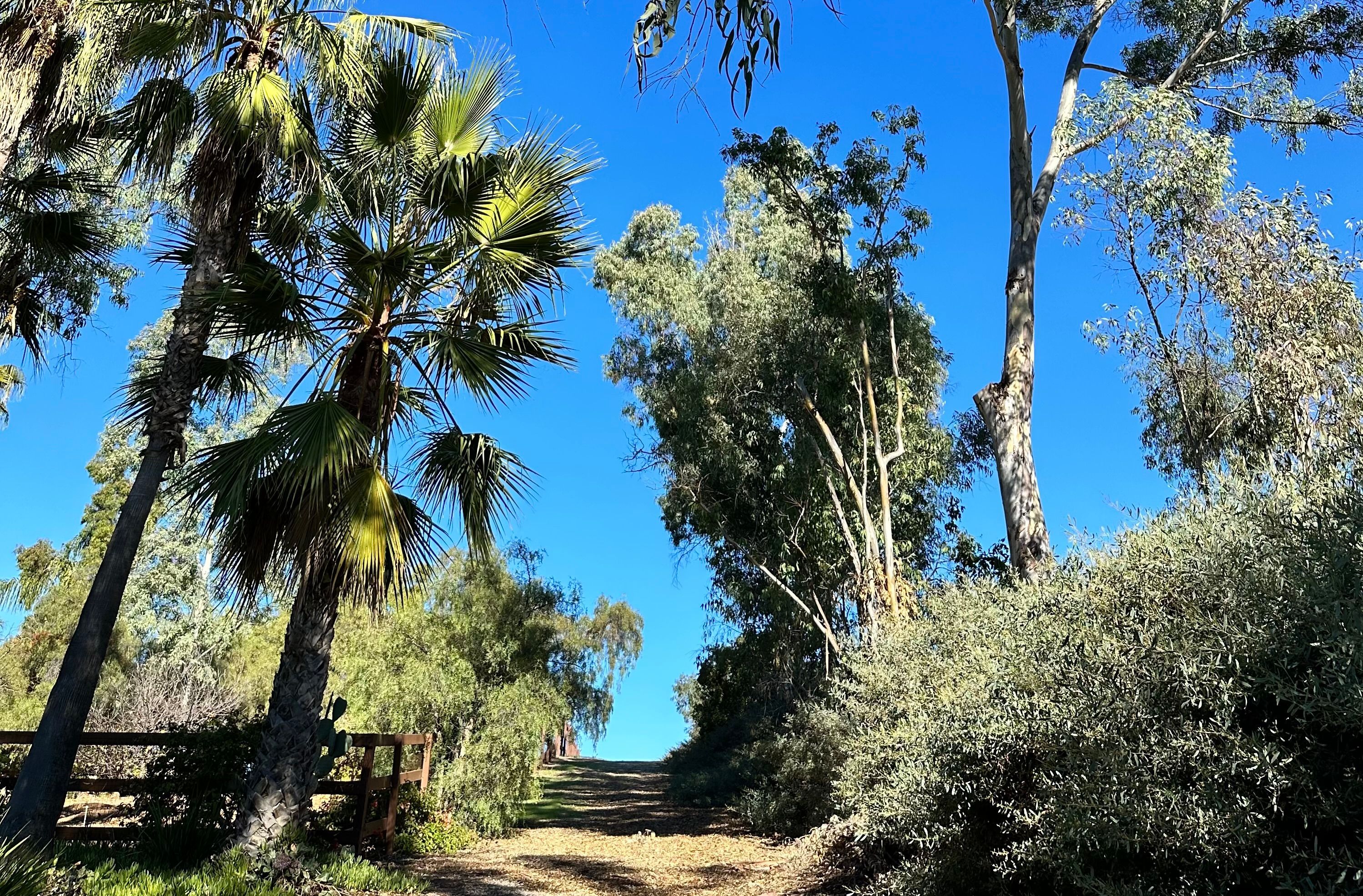 18096 Loma Alegre 