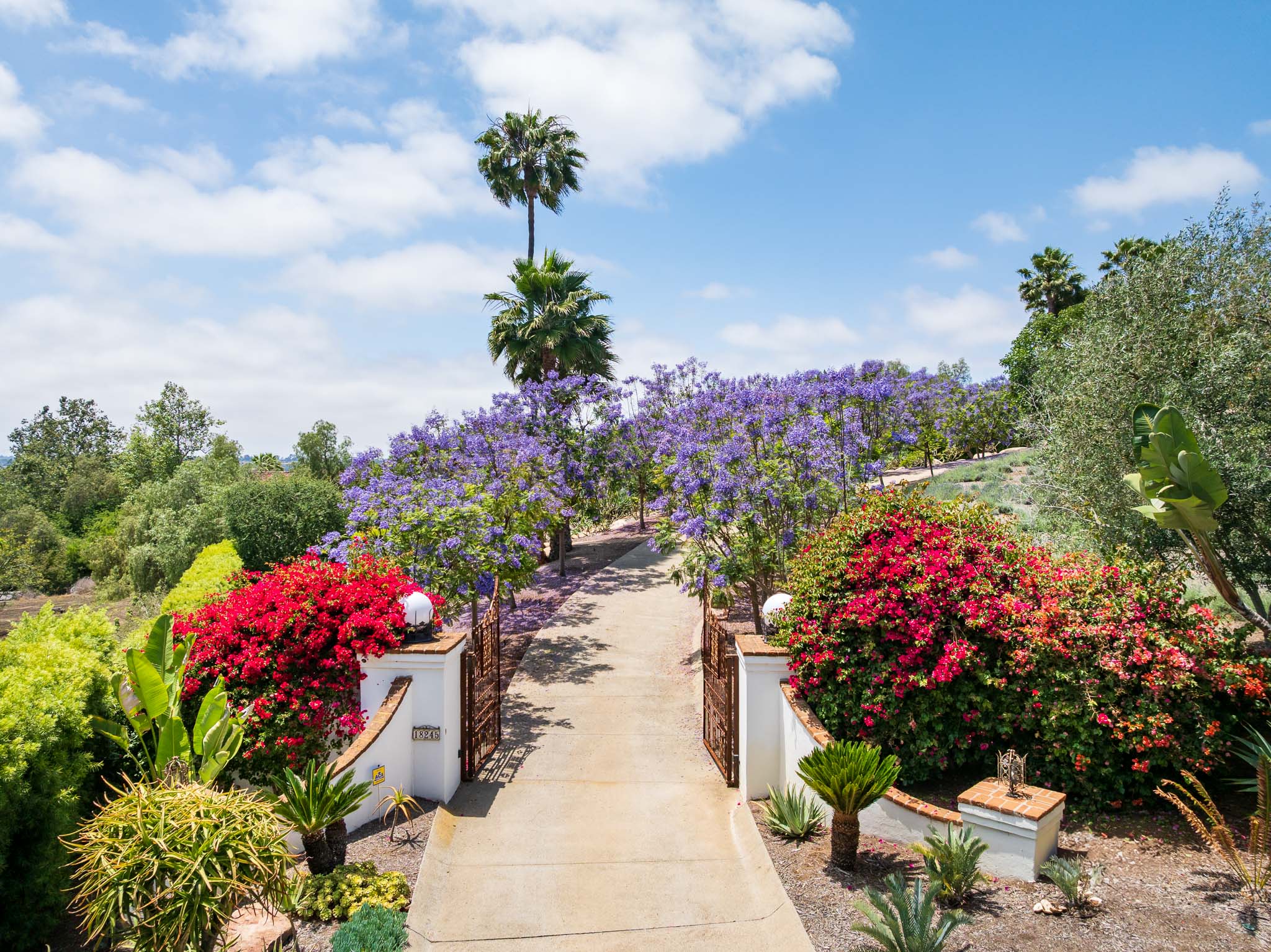 18245 Paseo Victoria 
