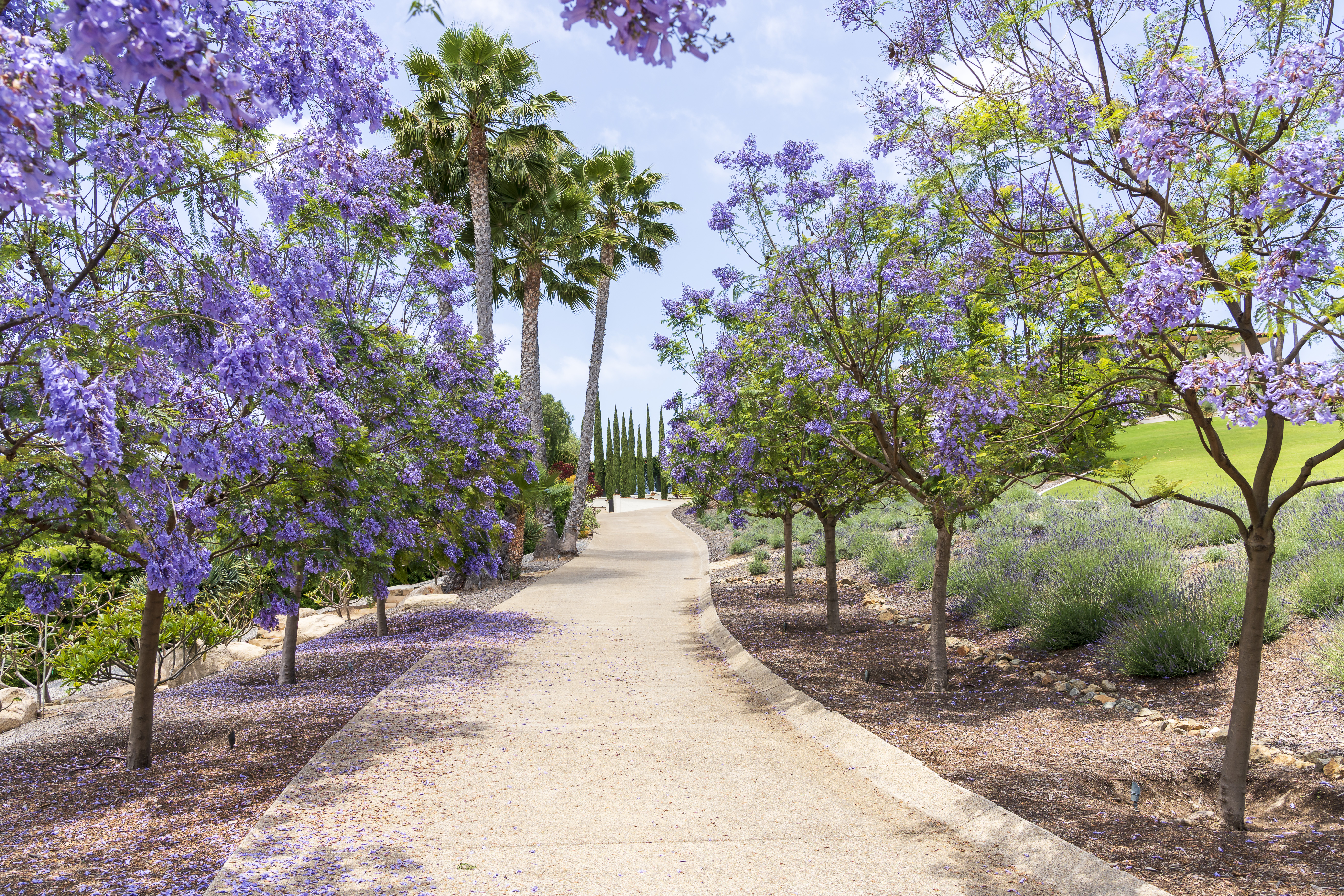 18245 Paseo Victoria 