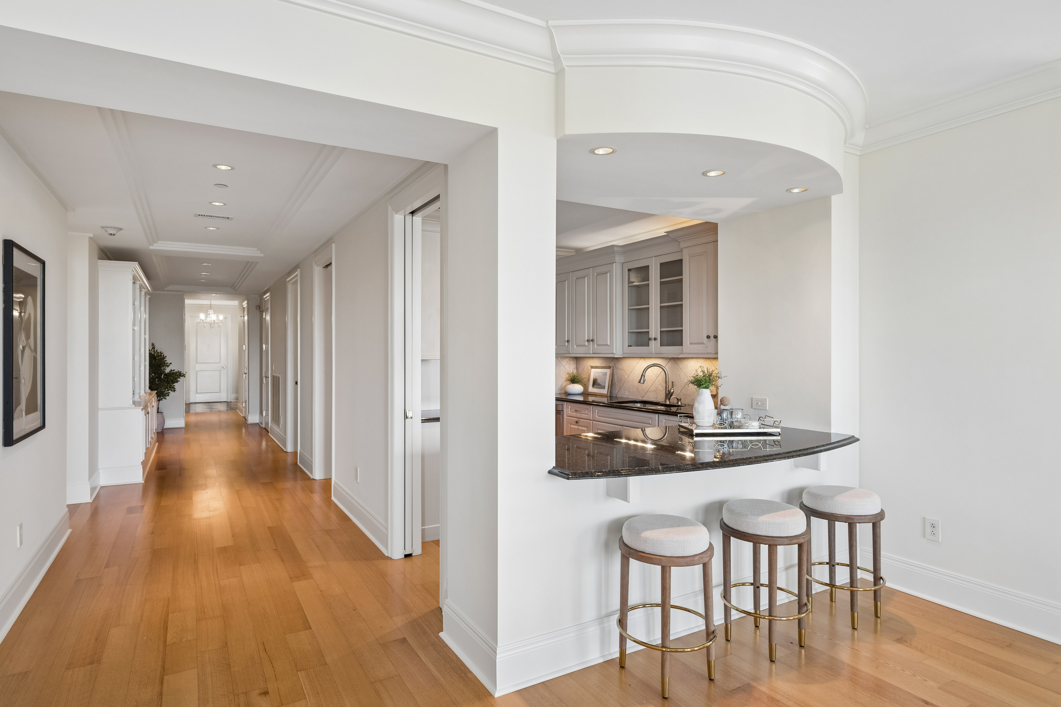2 Laurens Street Unit 2C