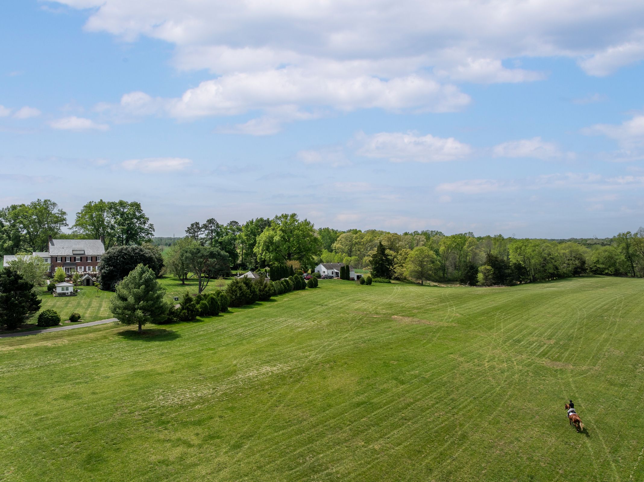 12428 Walnut Hill Drive 