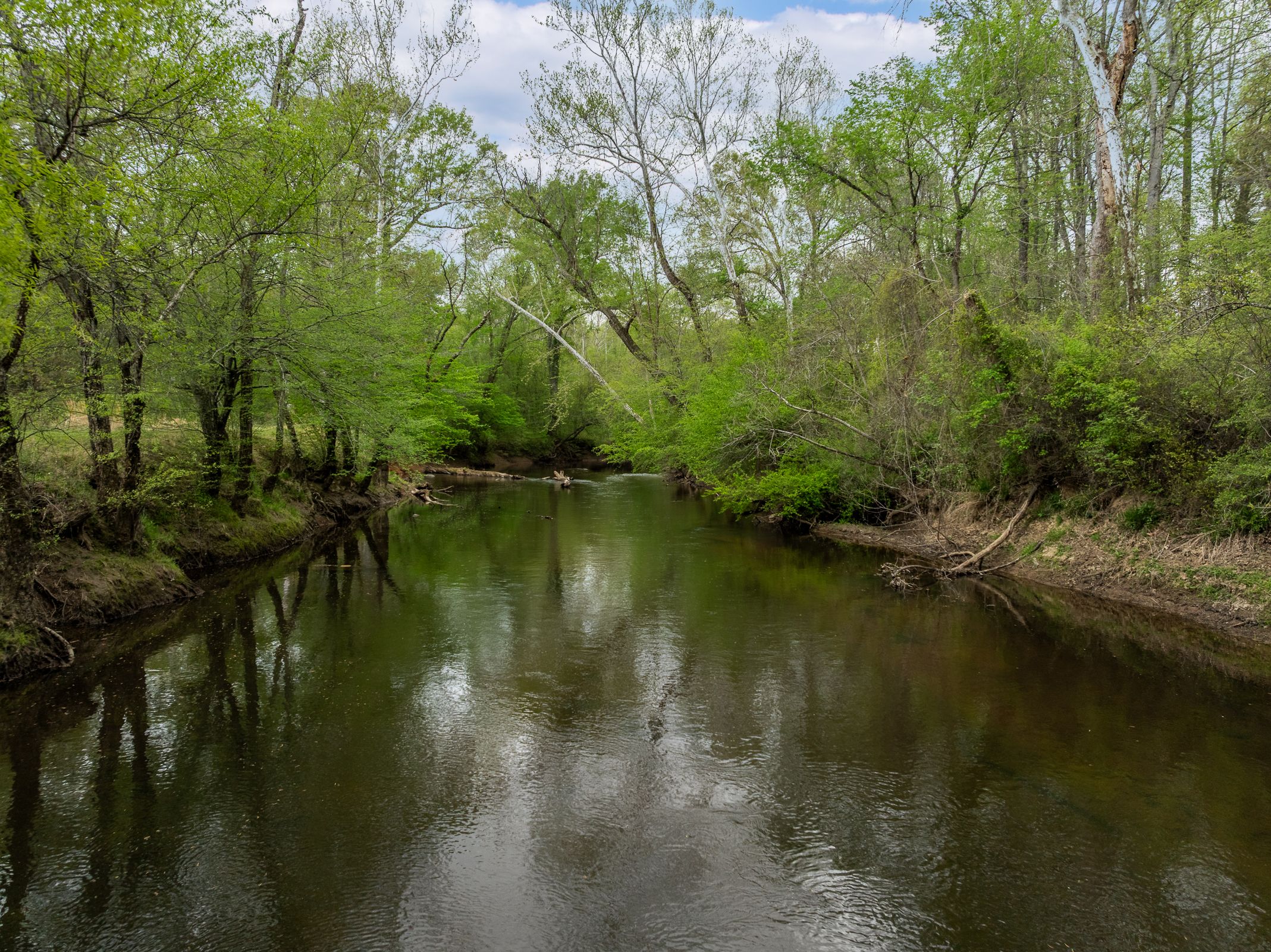 12428 Walnut Hill Drive 