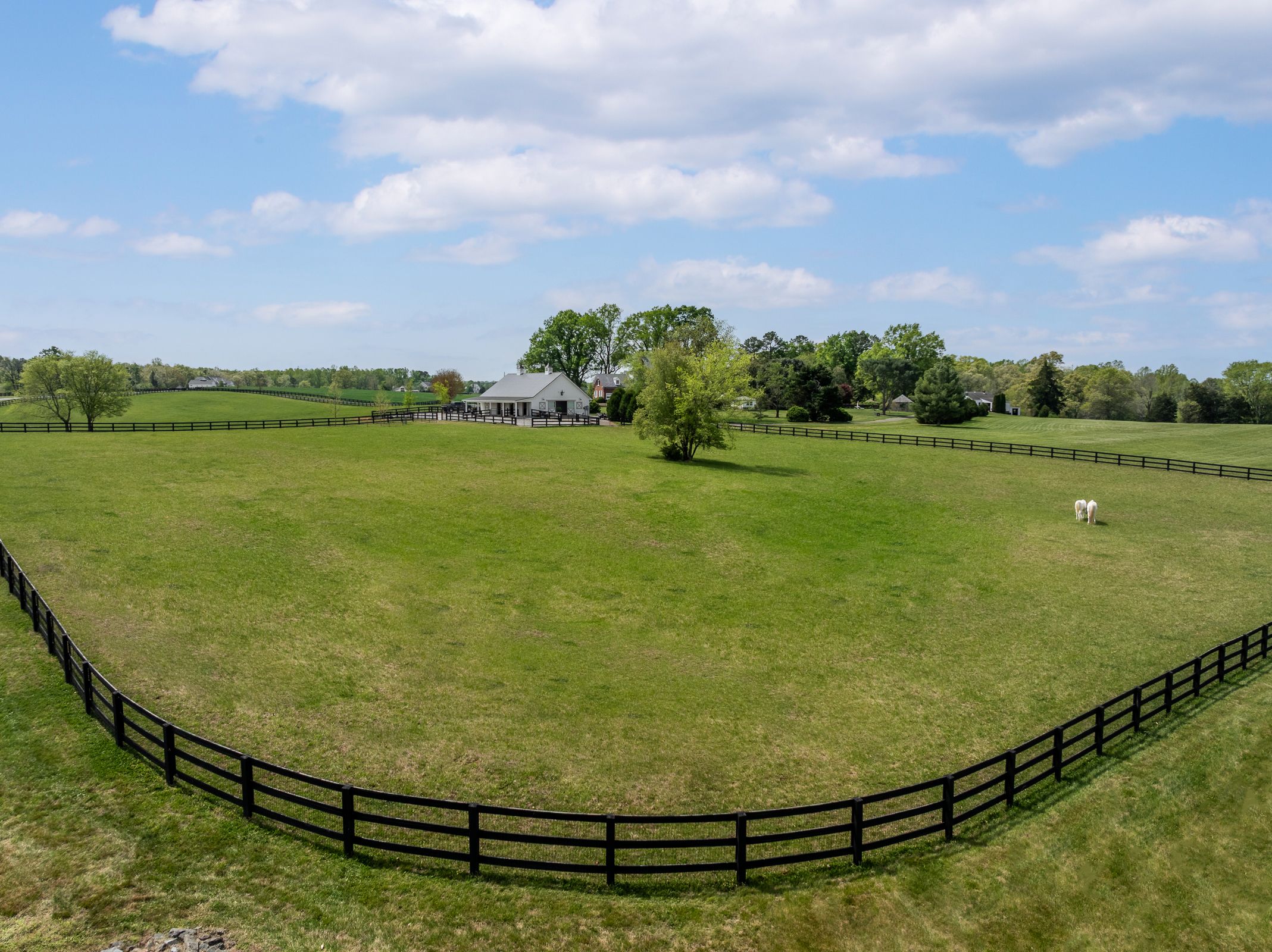 12428 Walnut Hill Drive 