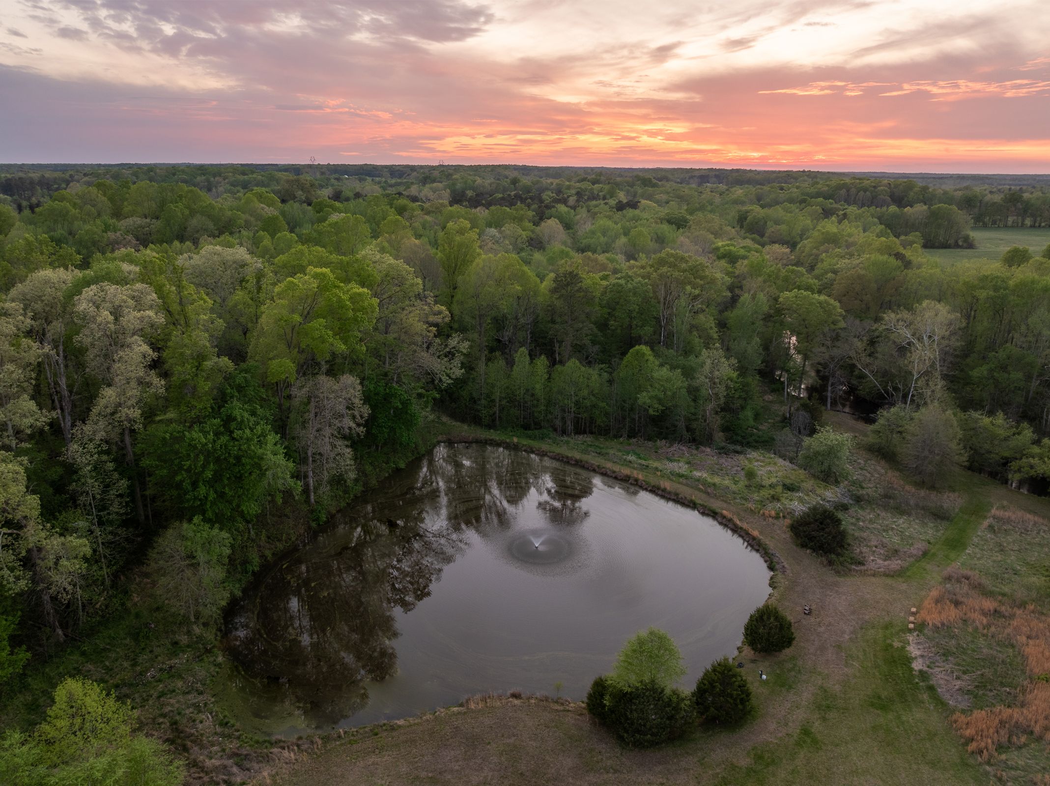 12428 Walnut Hill Drive 