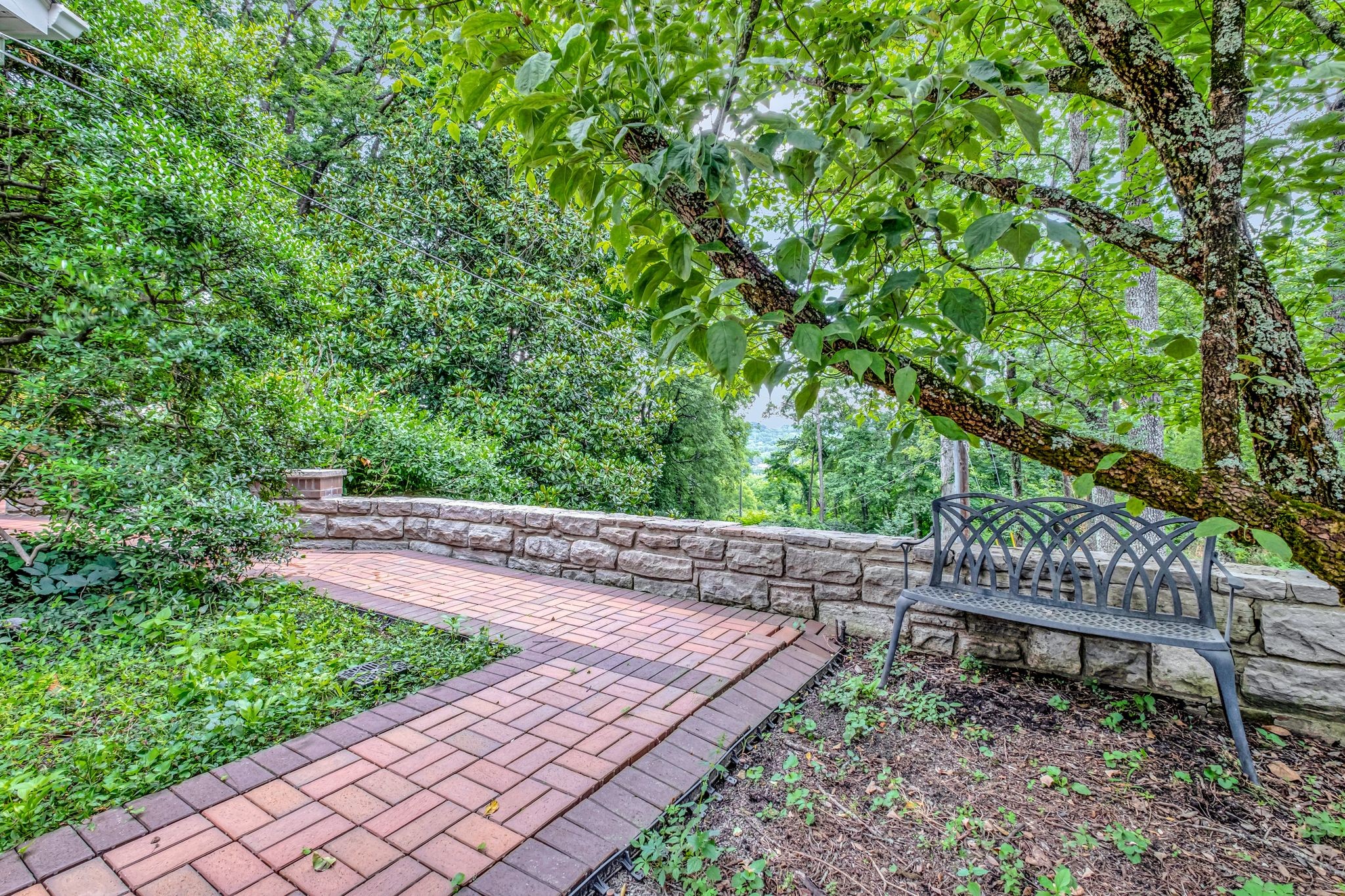 1106 Park Ridge Drive 