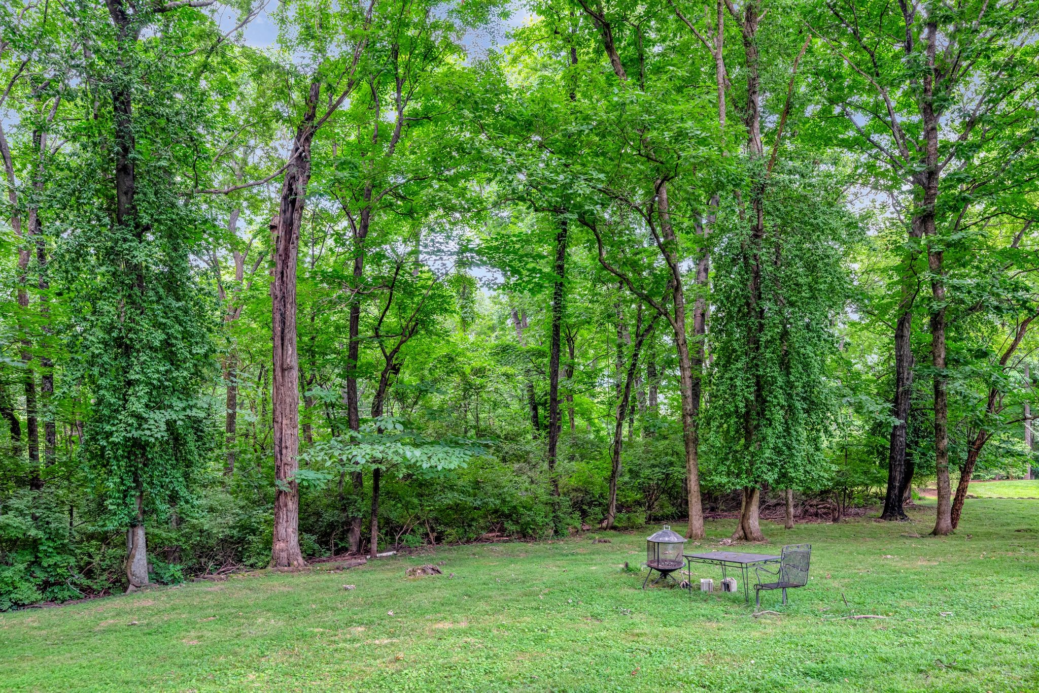 1106 Park Ridge Drive 