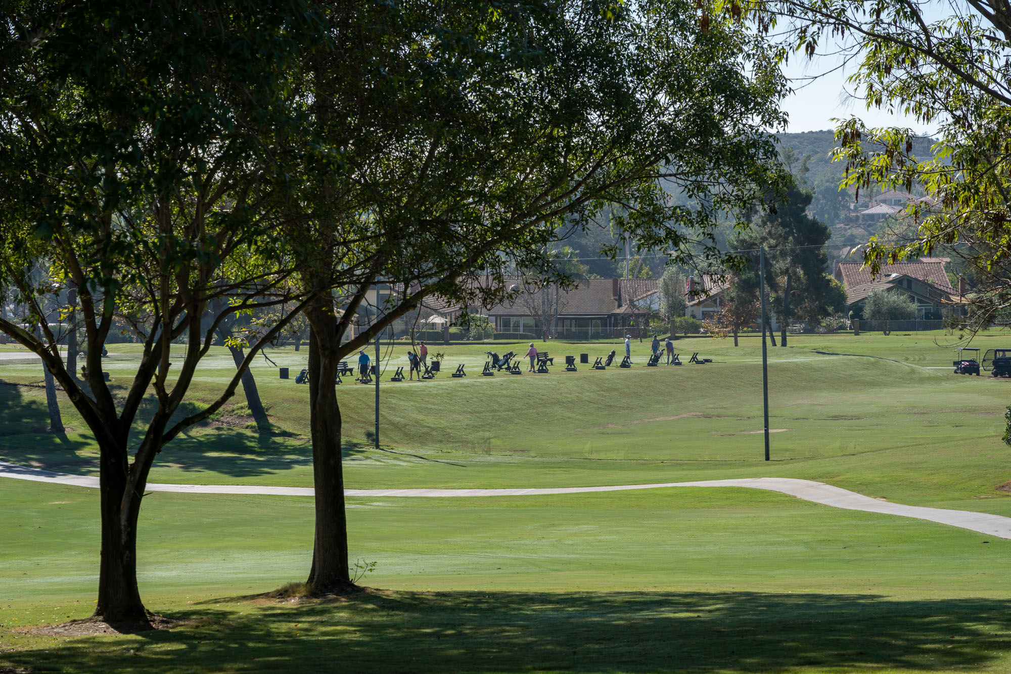 1177 Countrywood Lane 