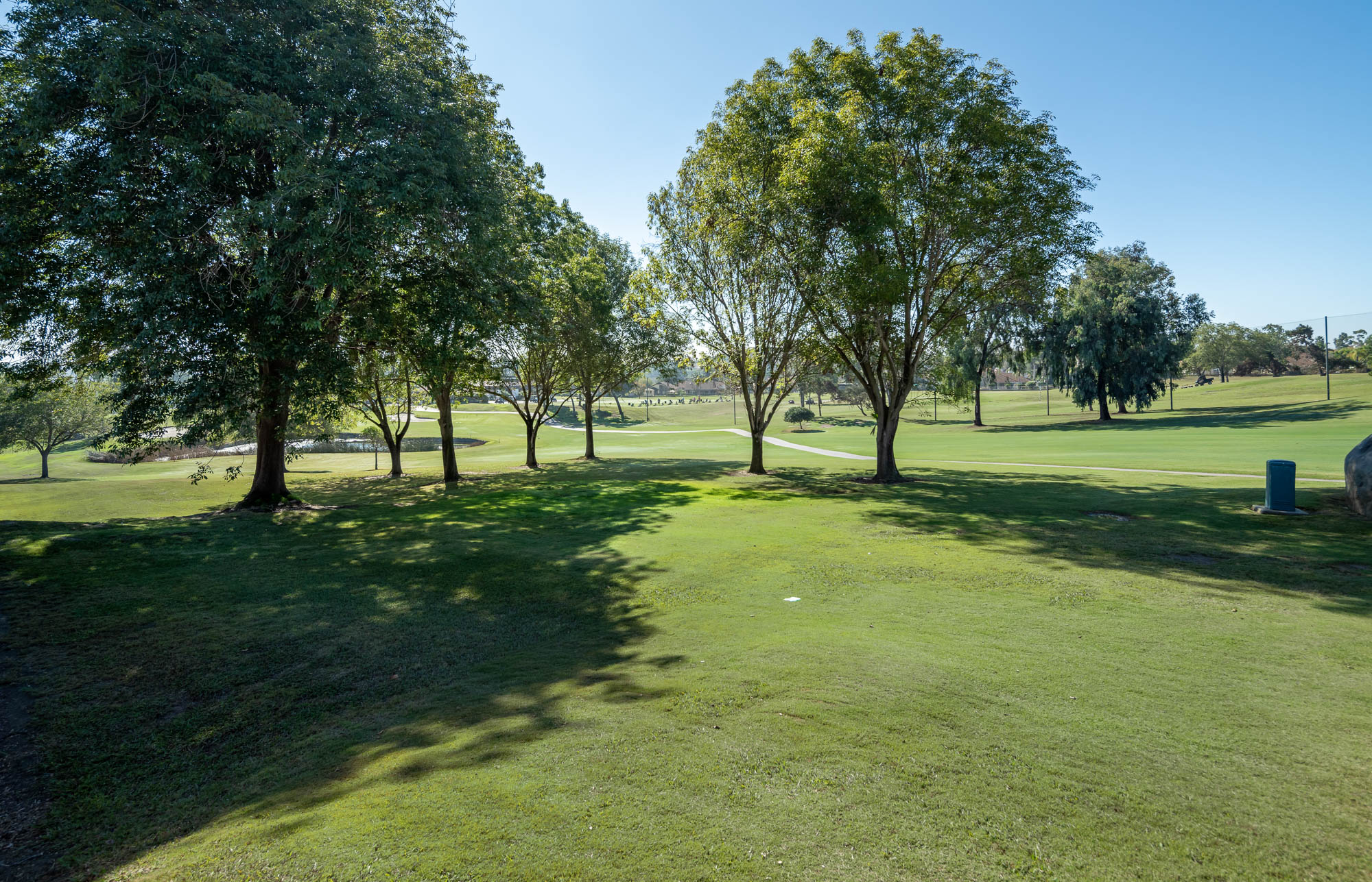 1177 Countrywood Lane 