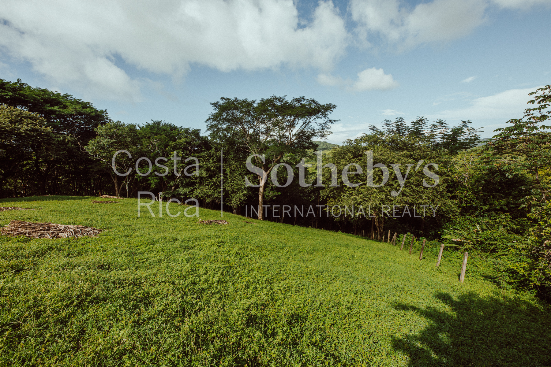 Nosara | Playa Garza