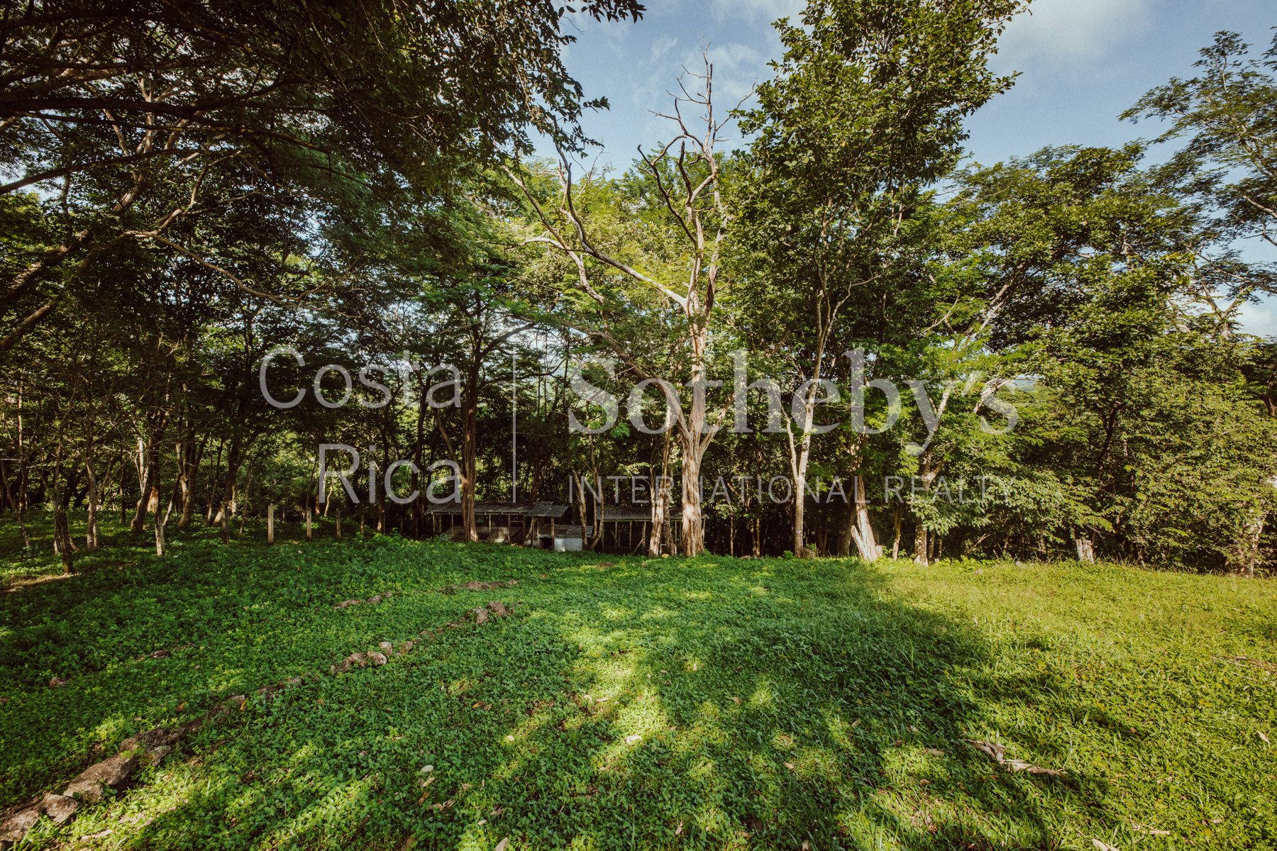 Nosara | Playa Garza