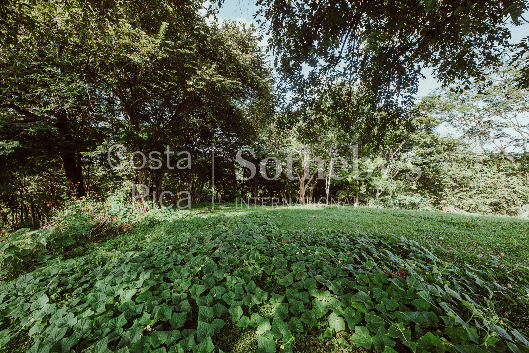 Nosara | Playa Garza