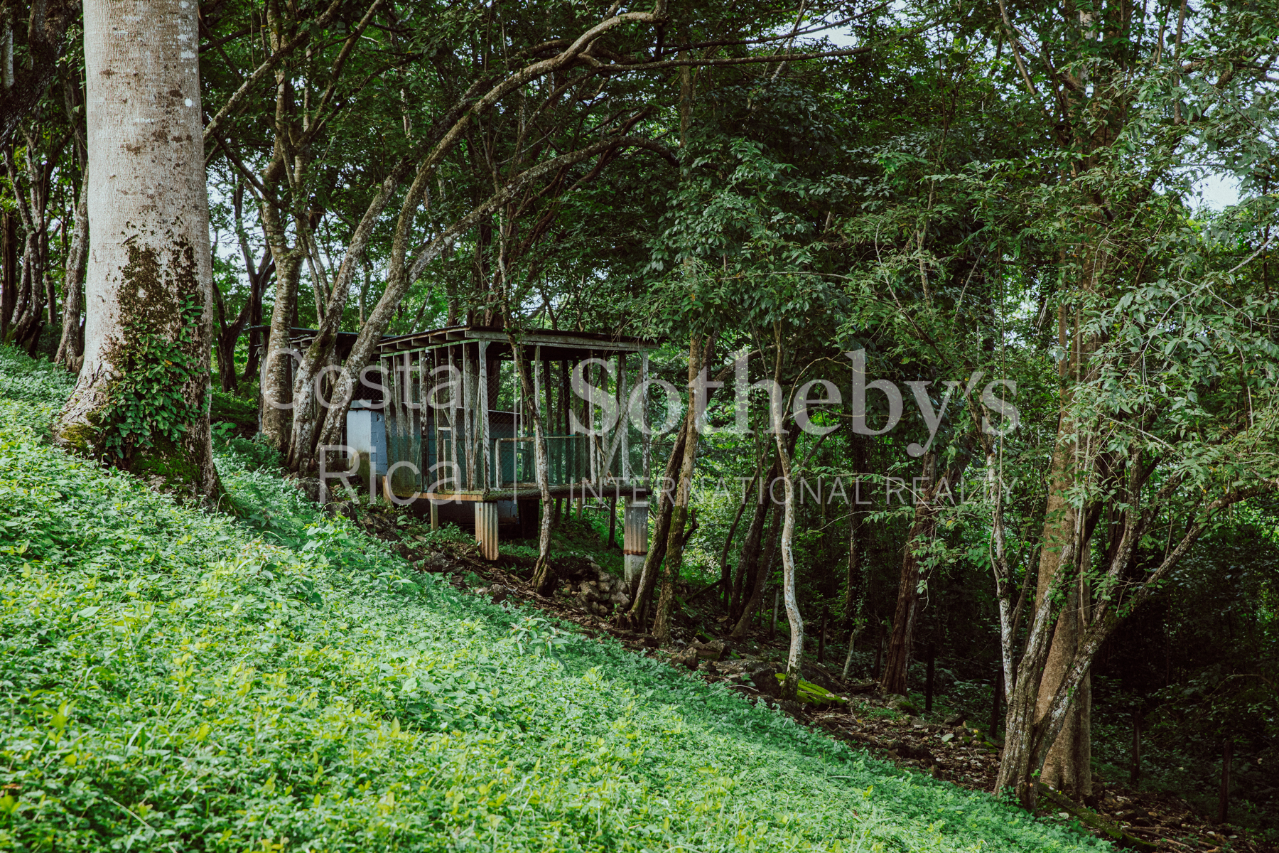 Nosara | Playa Garza