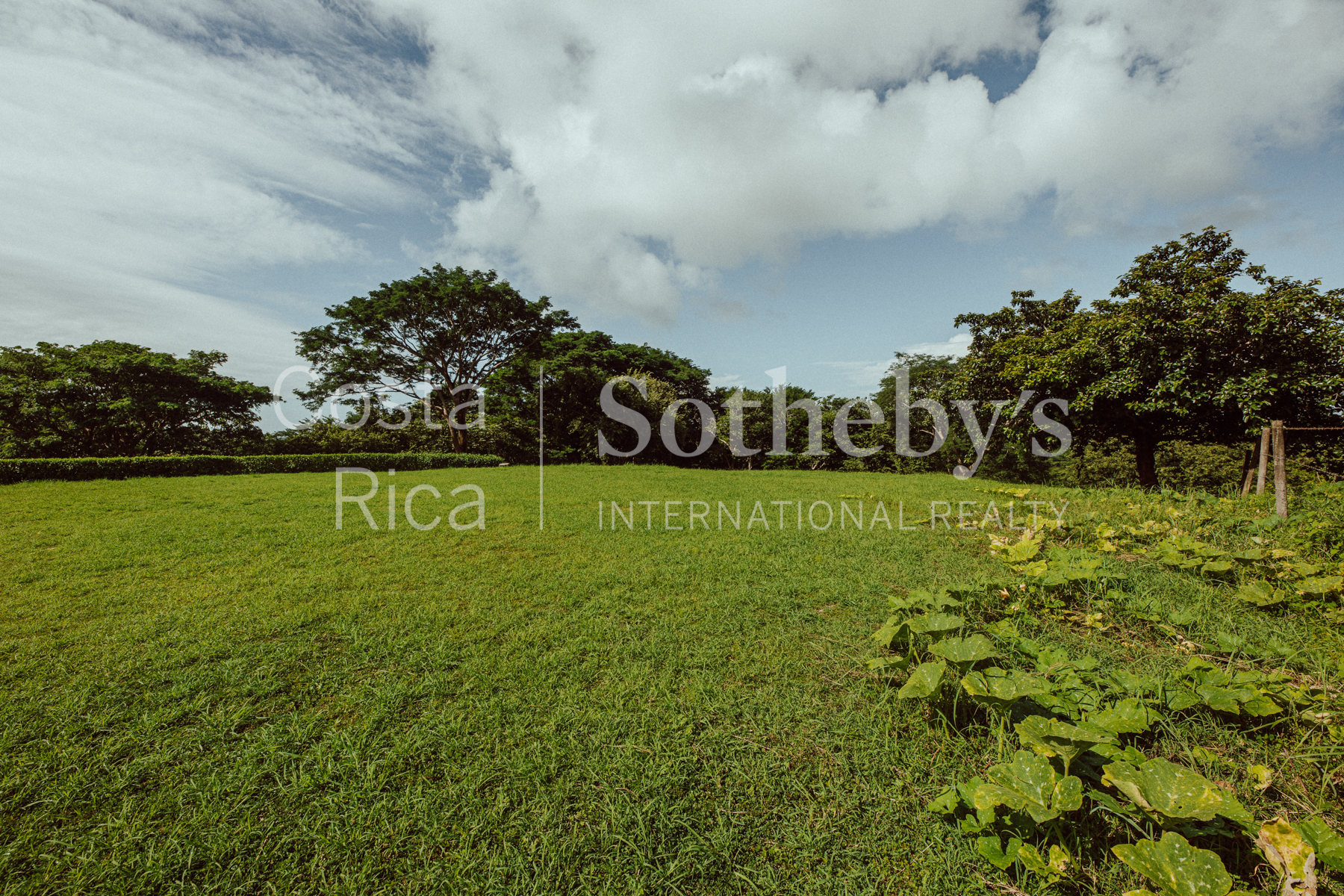 Nosara | Playa Garza