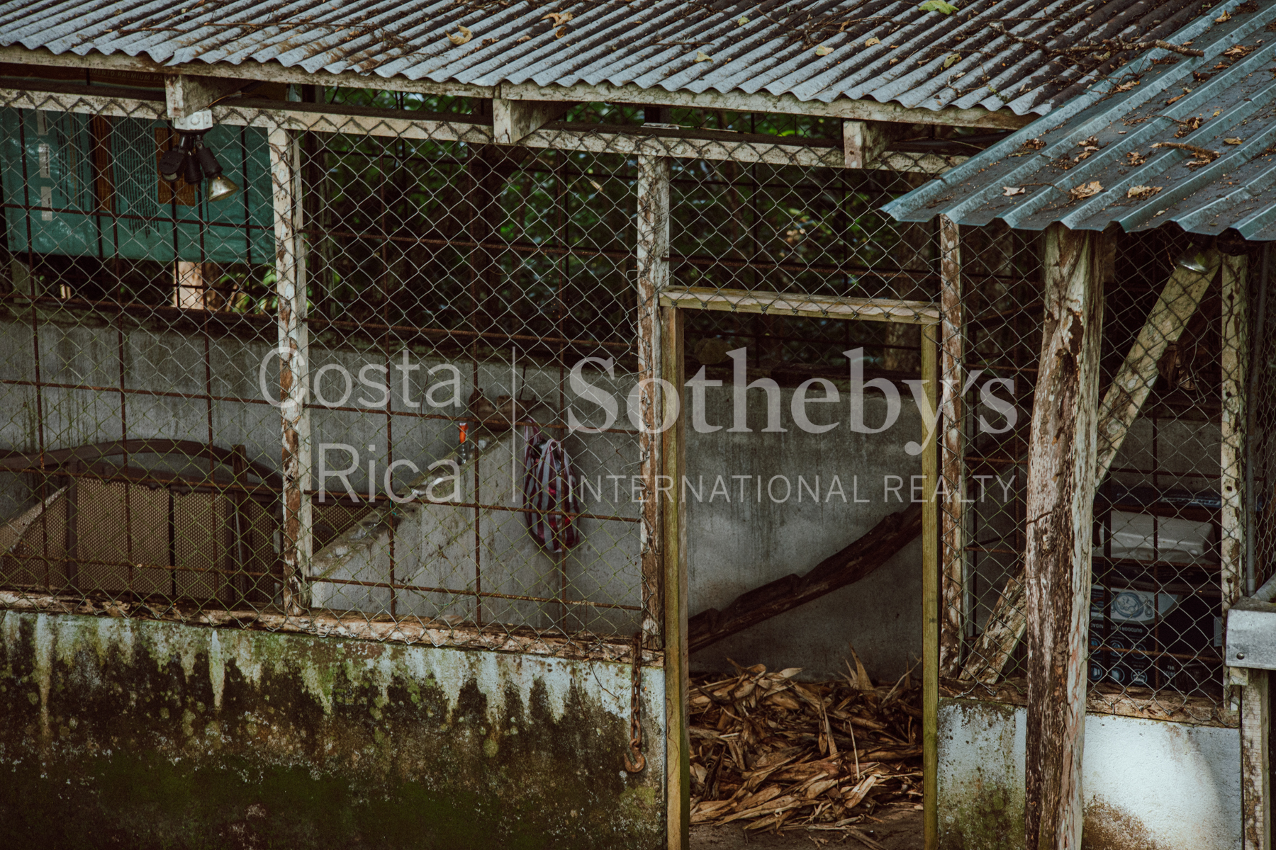 Nosara | Playa Garza