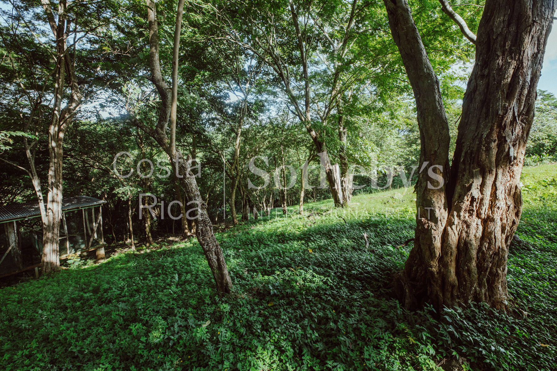 Nosara | Playa Garza