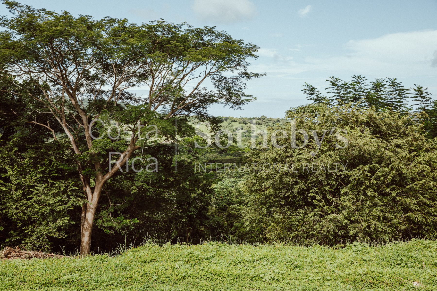 Nosara | Playa Garza