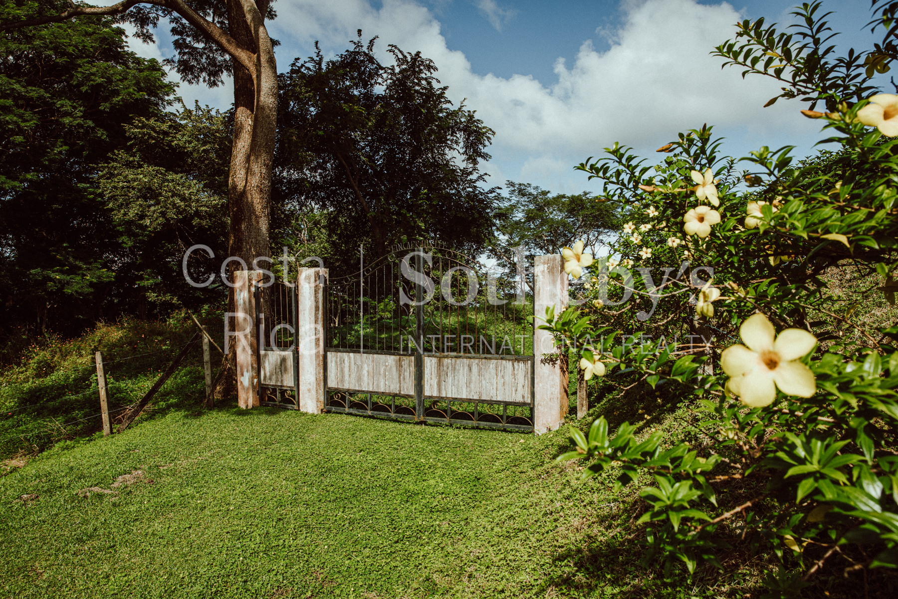 Nosara | Playa Garza