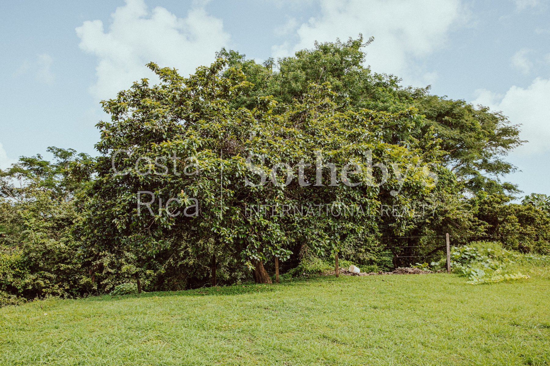 Nosara | Playa Garza