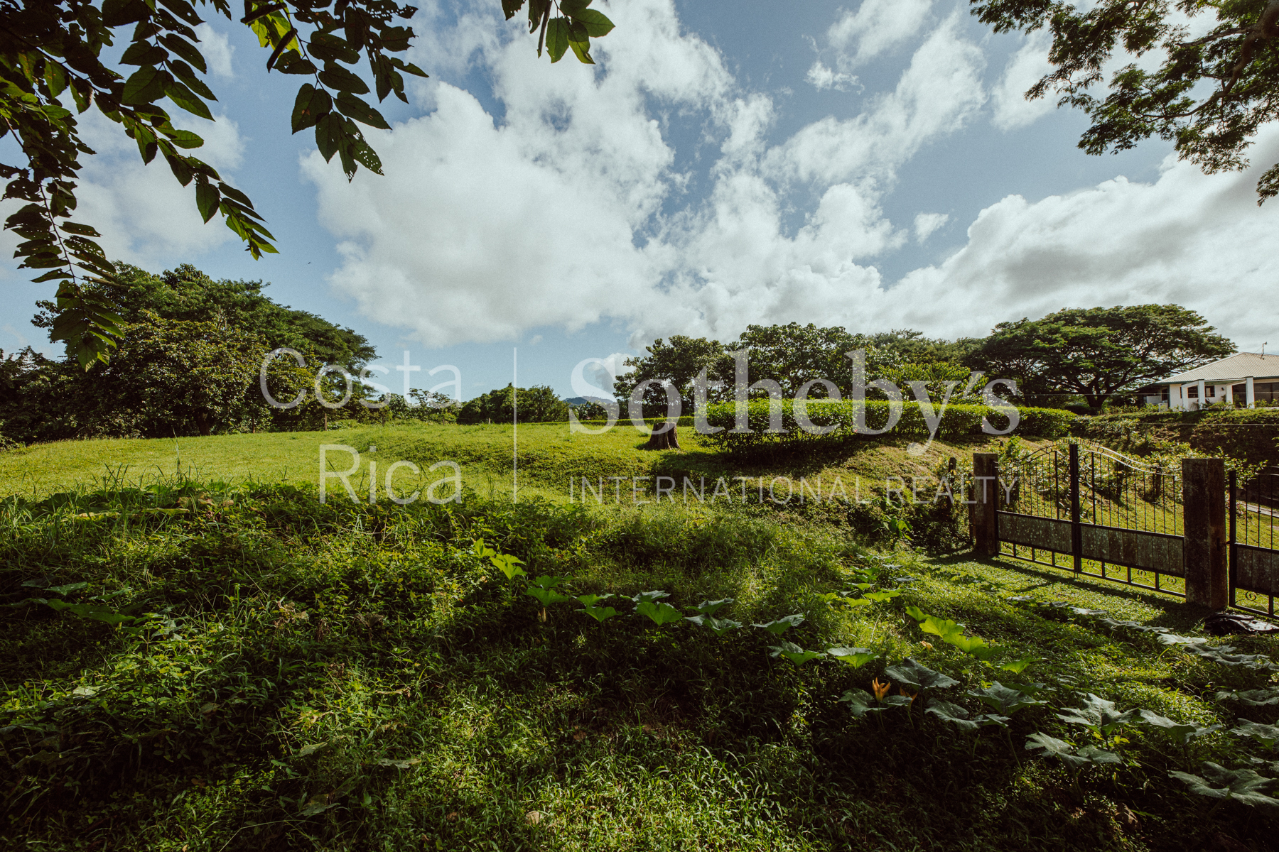 Nosara | Playa Garza