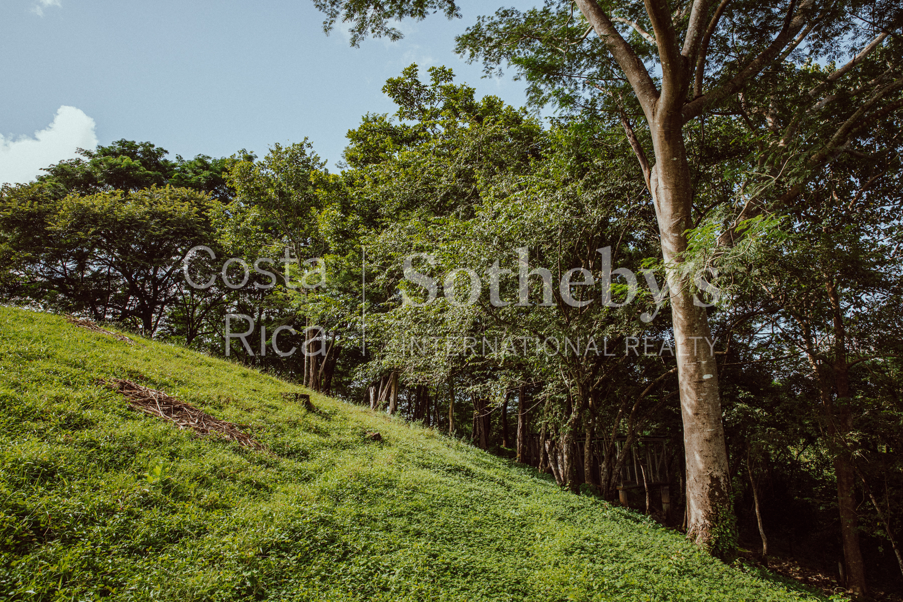 Nosara | Playa Garza
