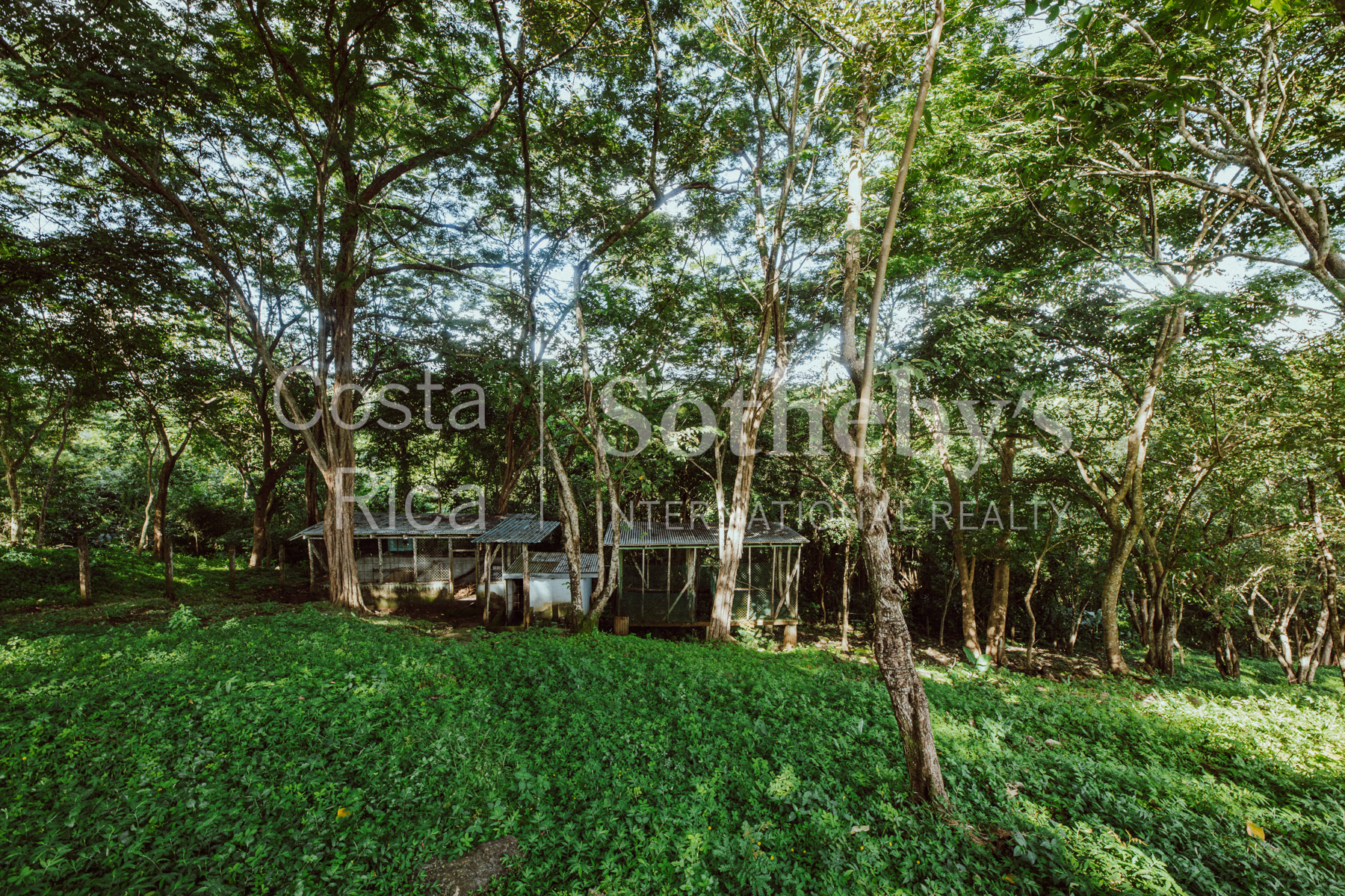 Nosara | Playa Garza