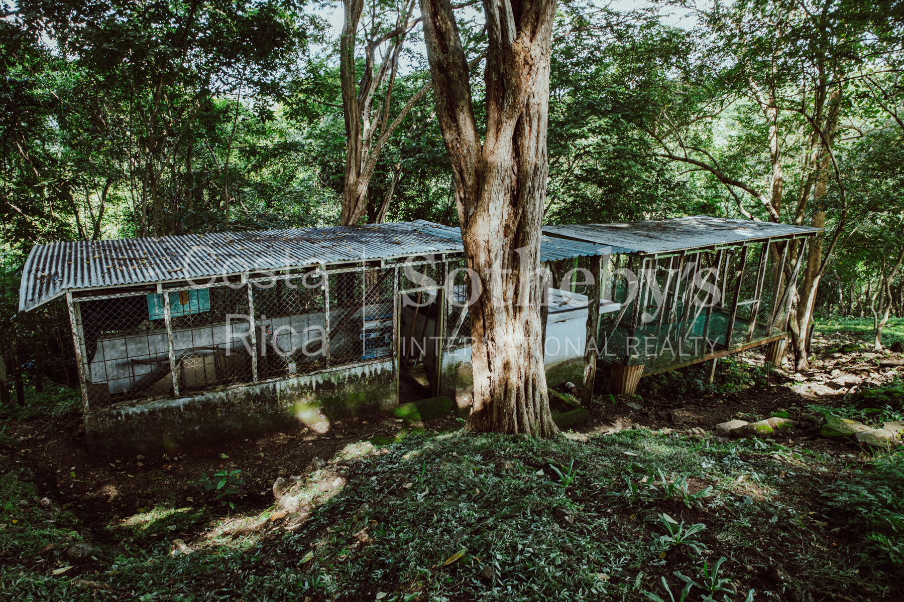 Nosara | Playa Garza