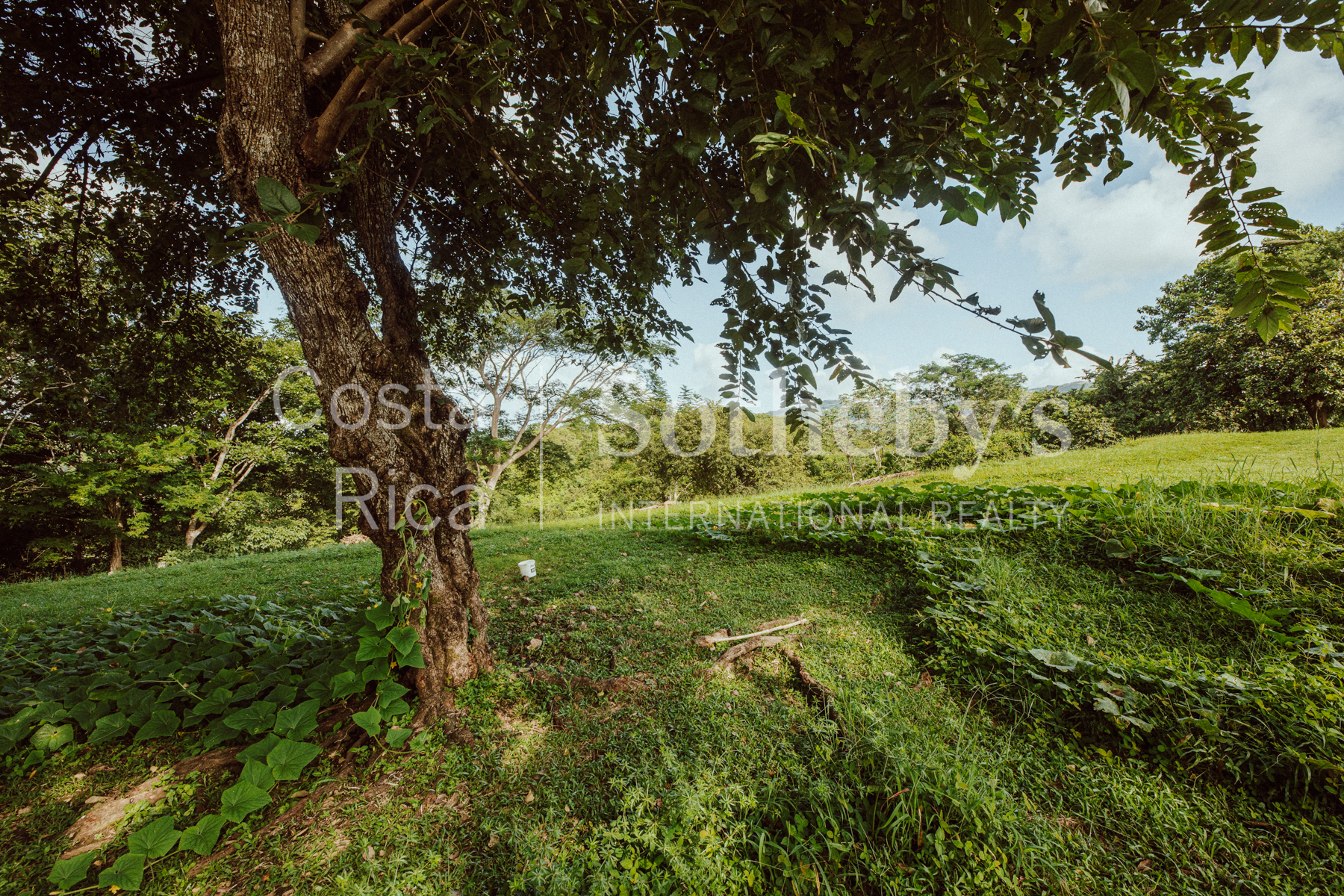 Nosara | Playa Garza