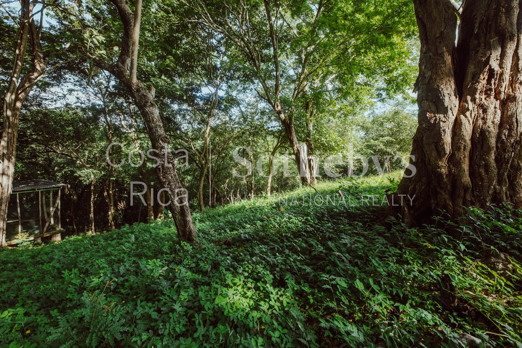 Nosara | Playa Garza