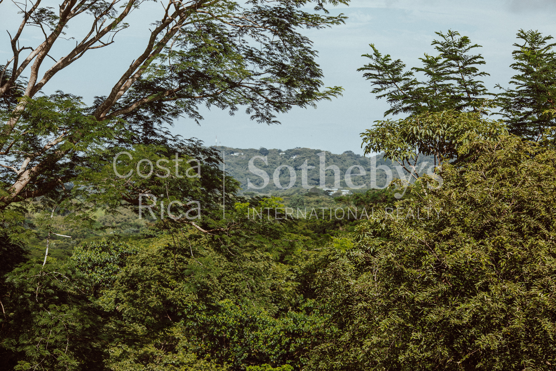 Nosara | Playa Garza