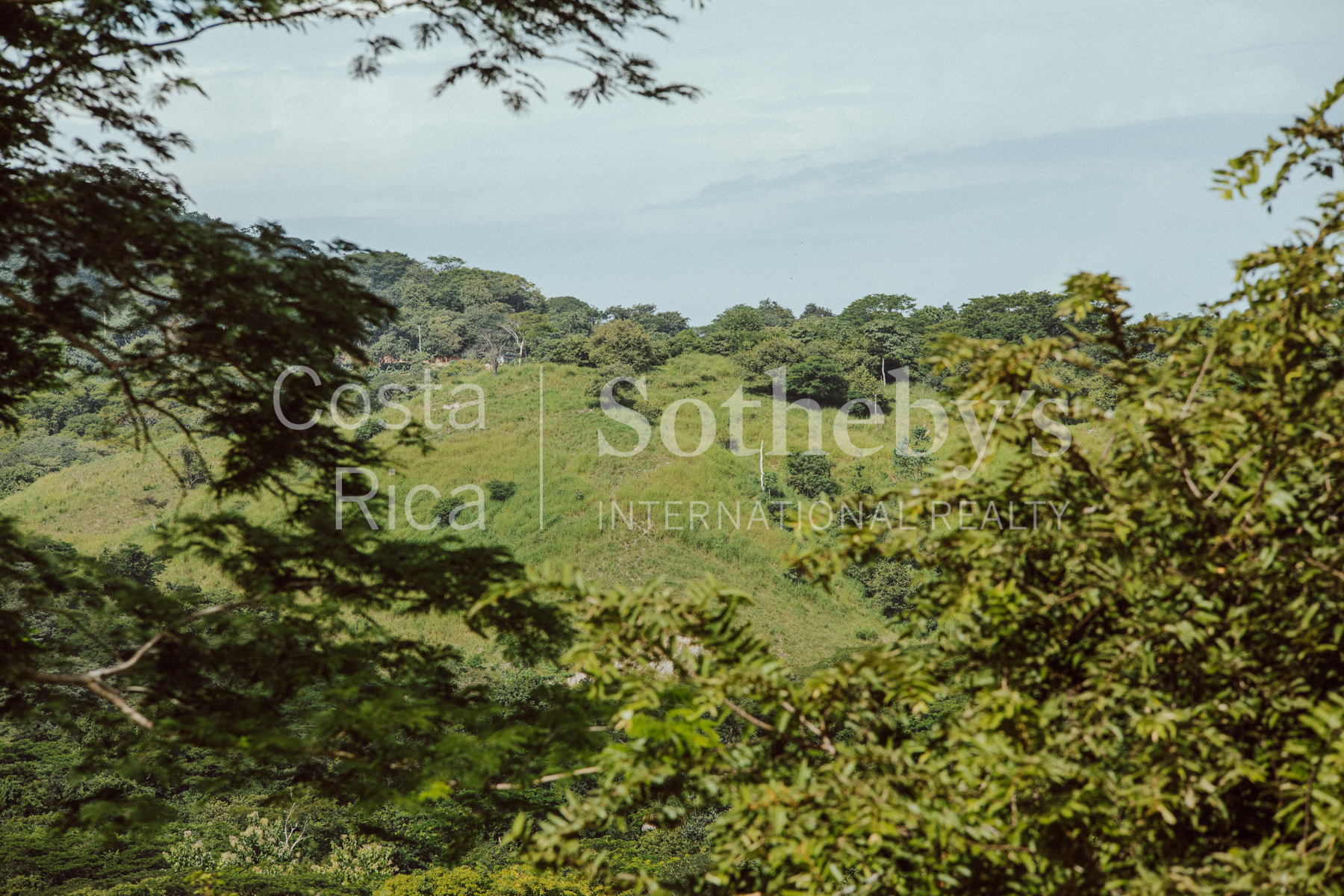 Nosara | Playa Garza