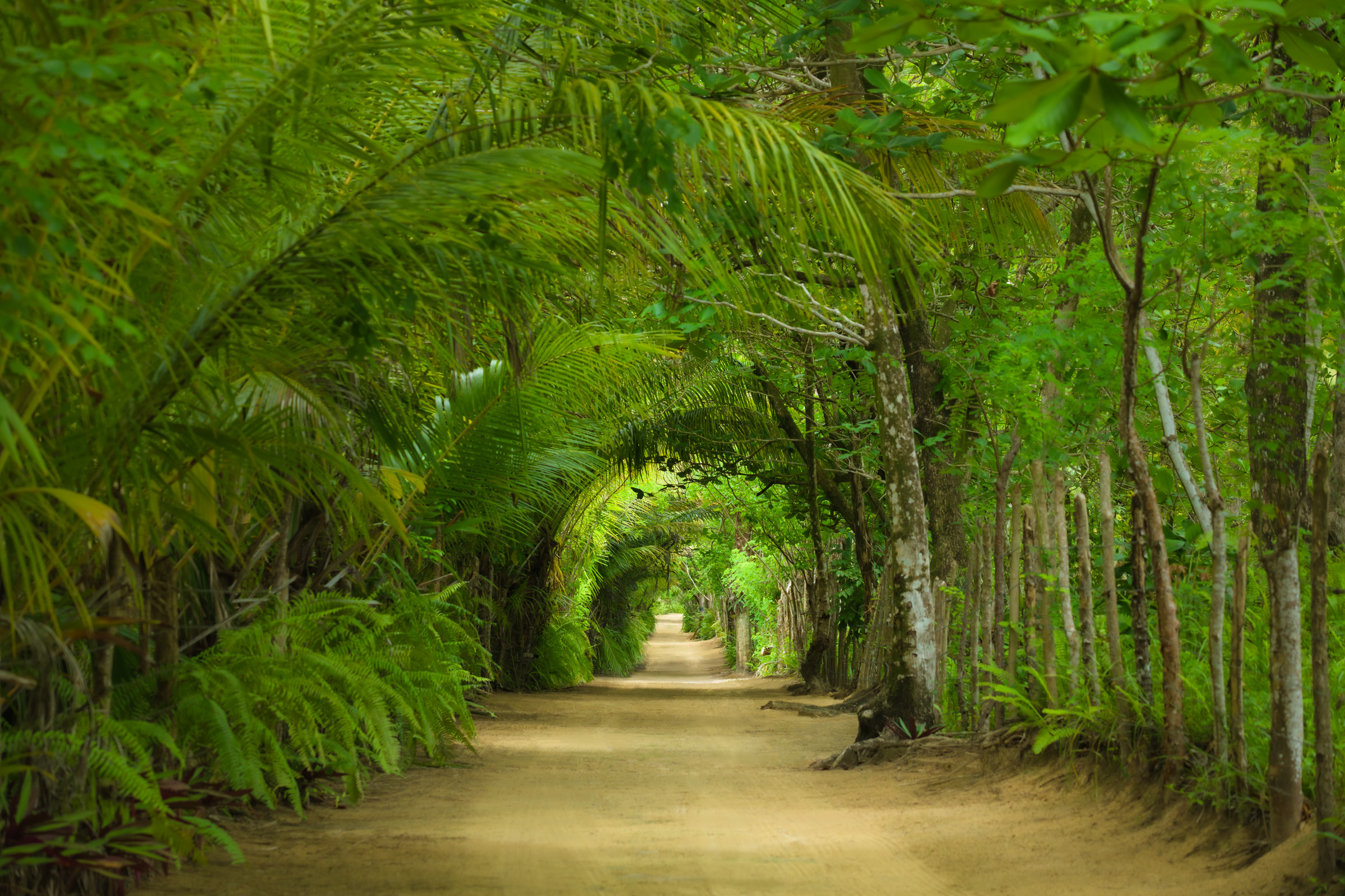 Four Seasons Resort at Tropicalia Playa Esmeralda 4-BR Beach Villa 