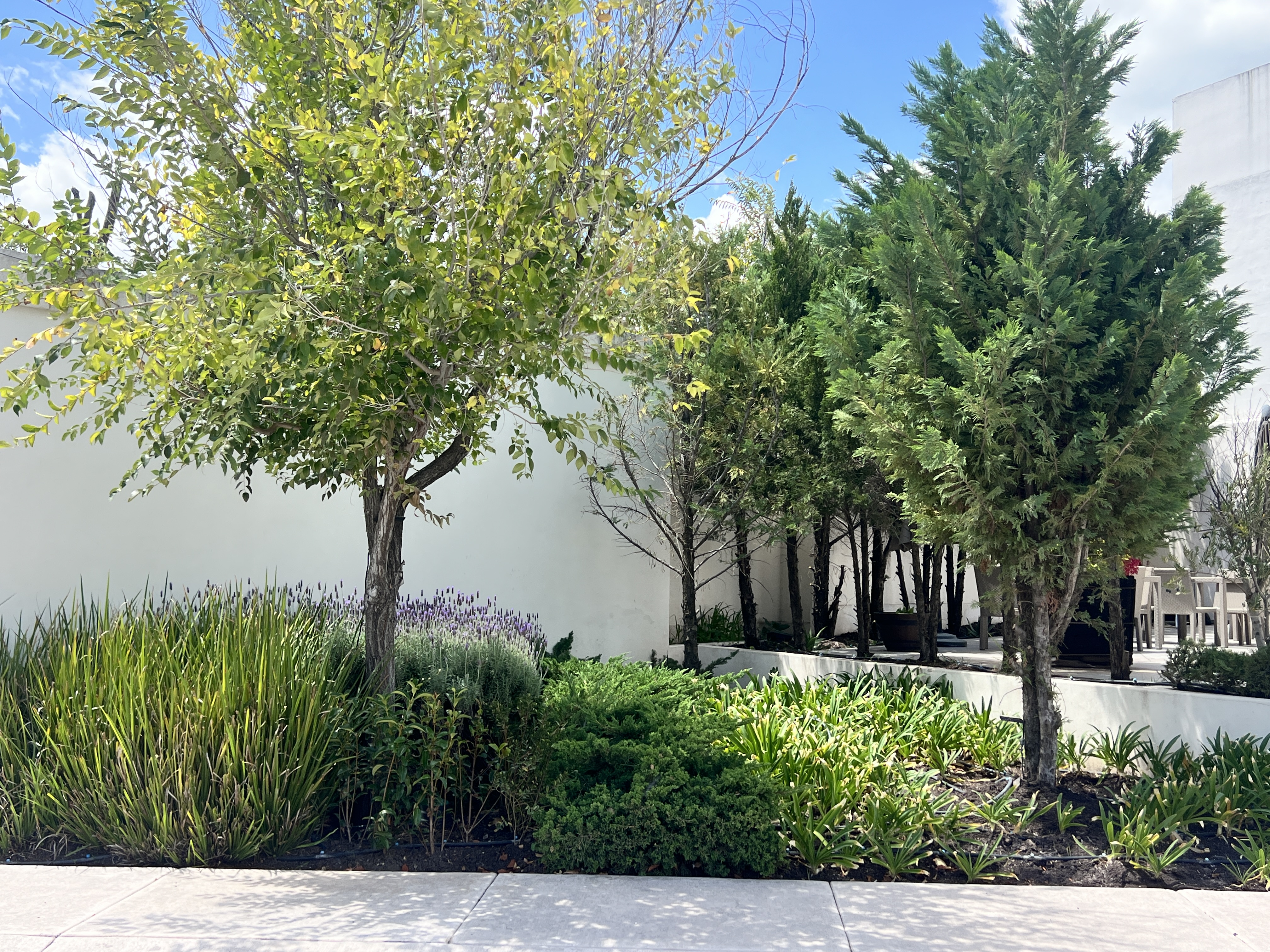 CASA ÚNICO El Refugio