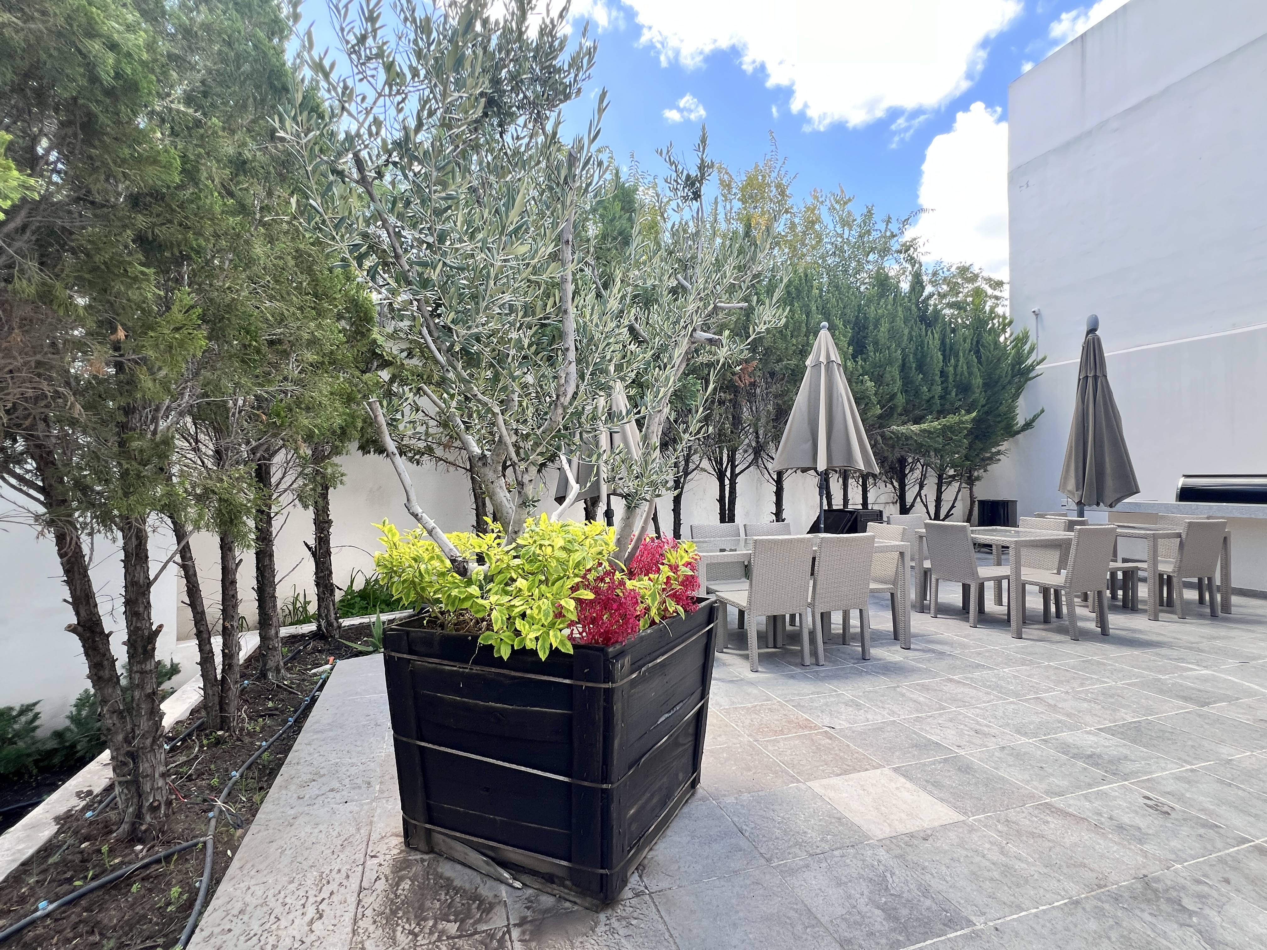 CASA ÚNICO El Refugio