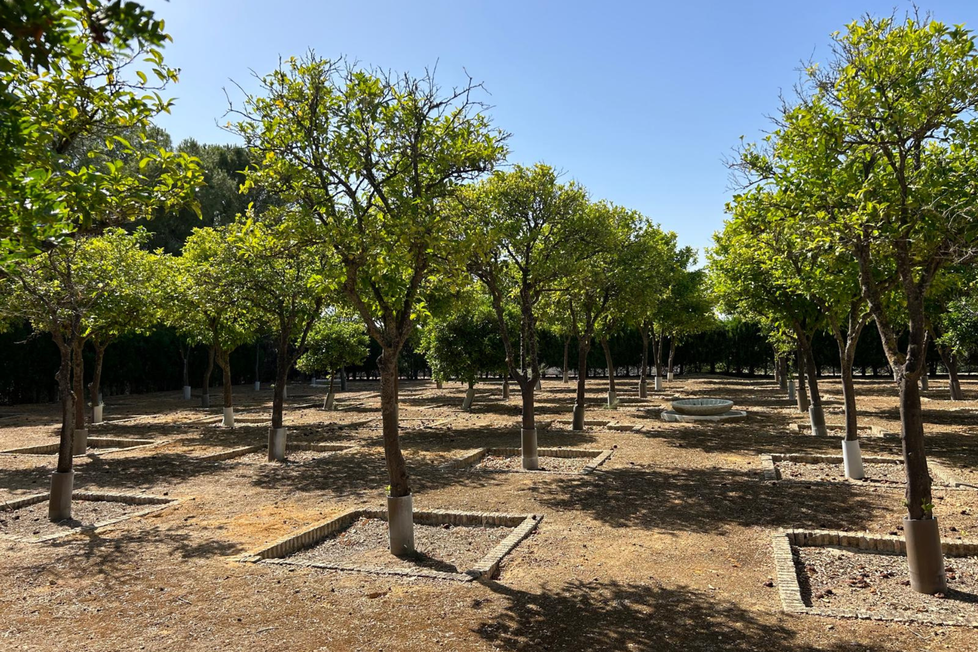 Las Cabezas de San Juan