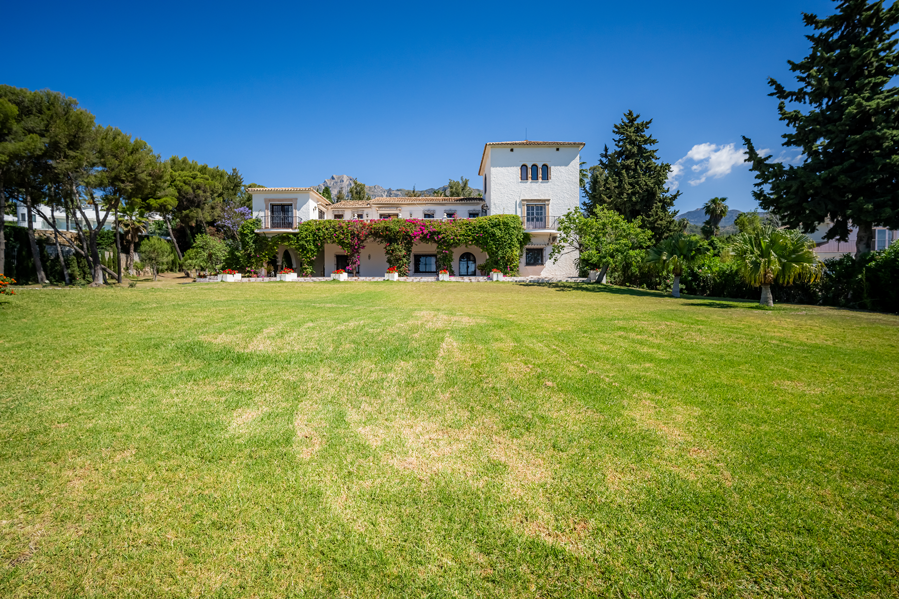 Milla de Oro - Golden Mile