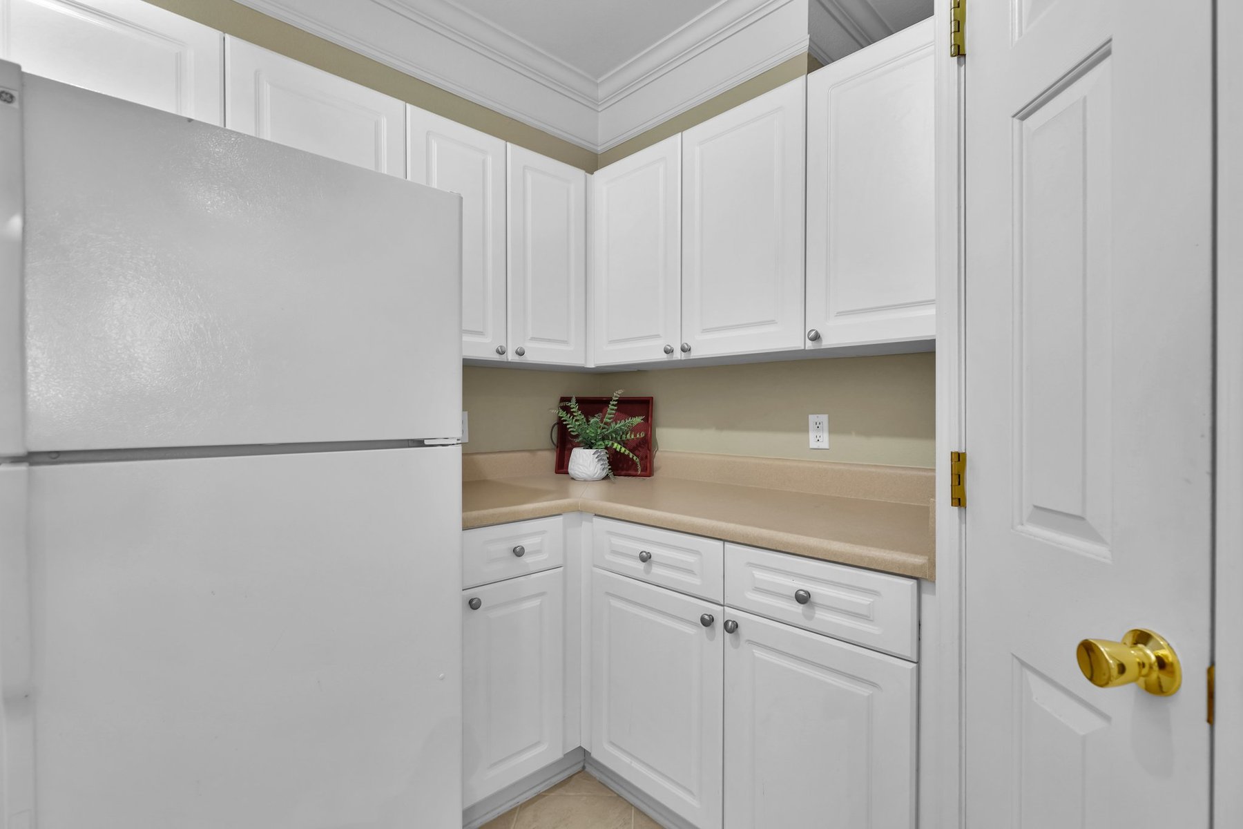 1133 Whitemarsh Way