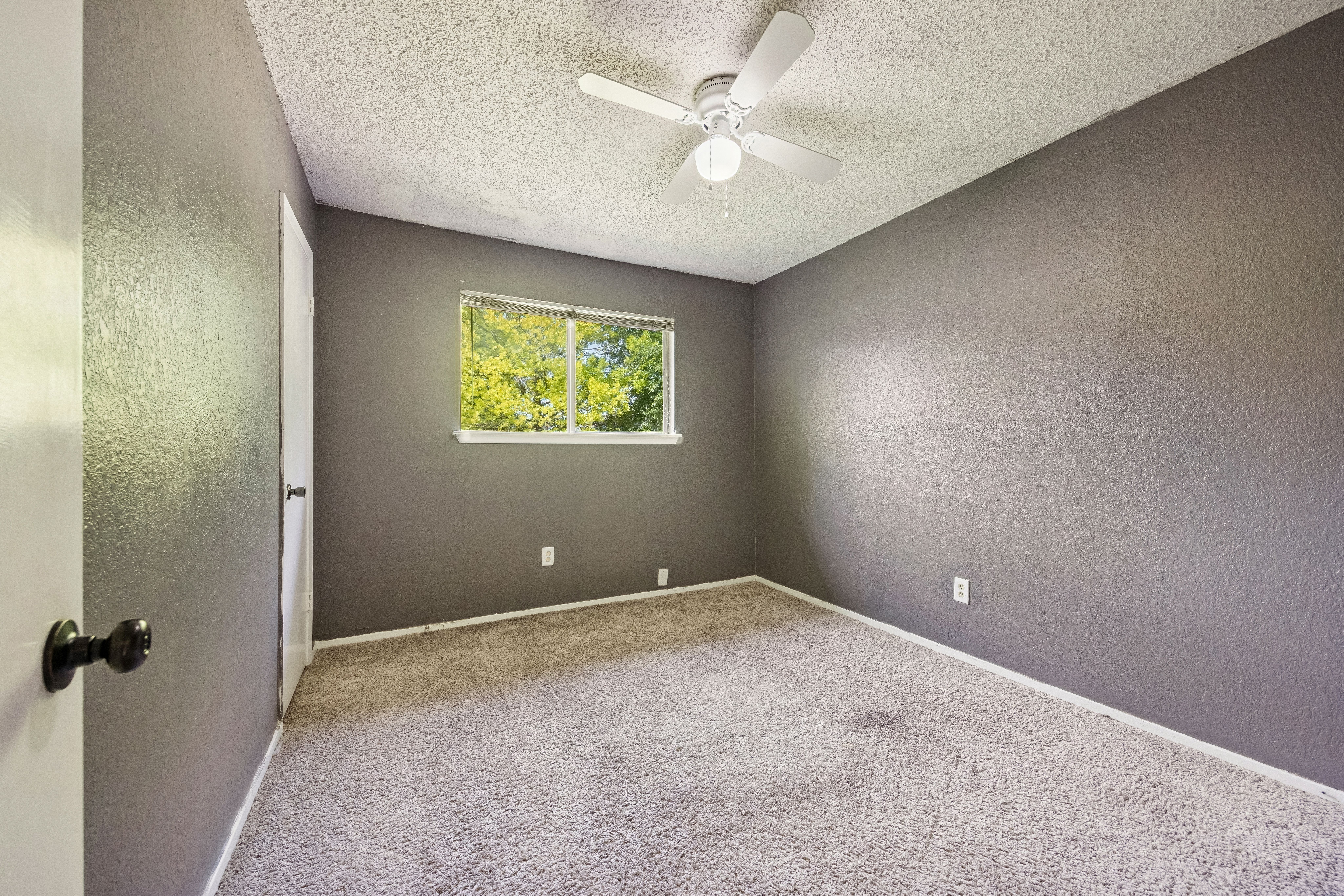 3602 Counselor Drive 