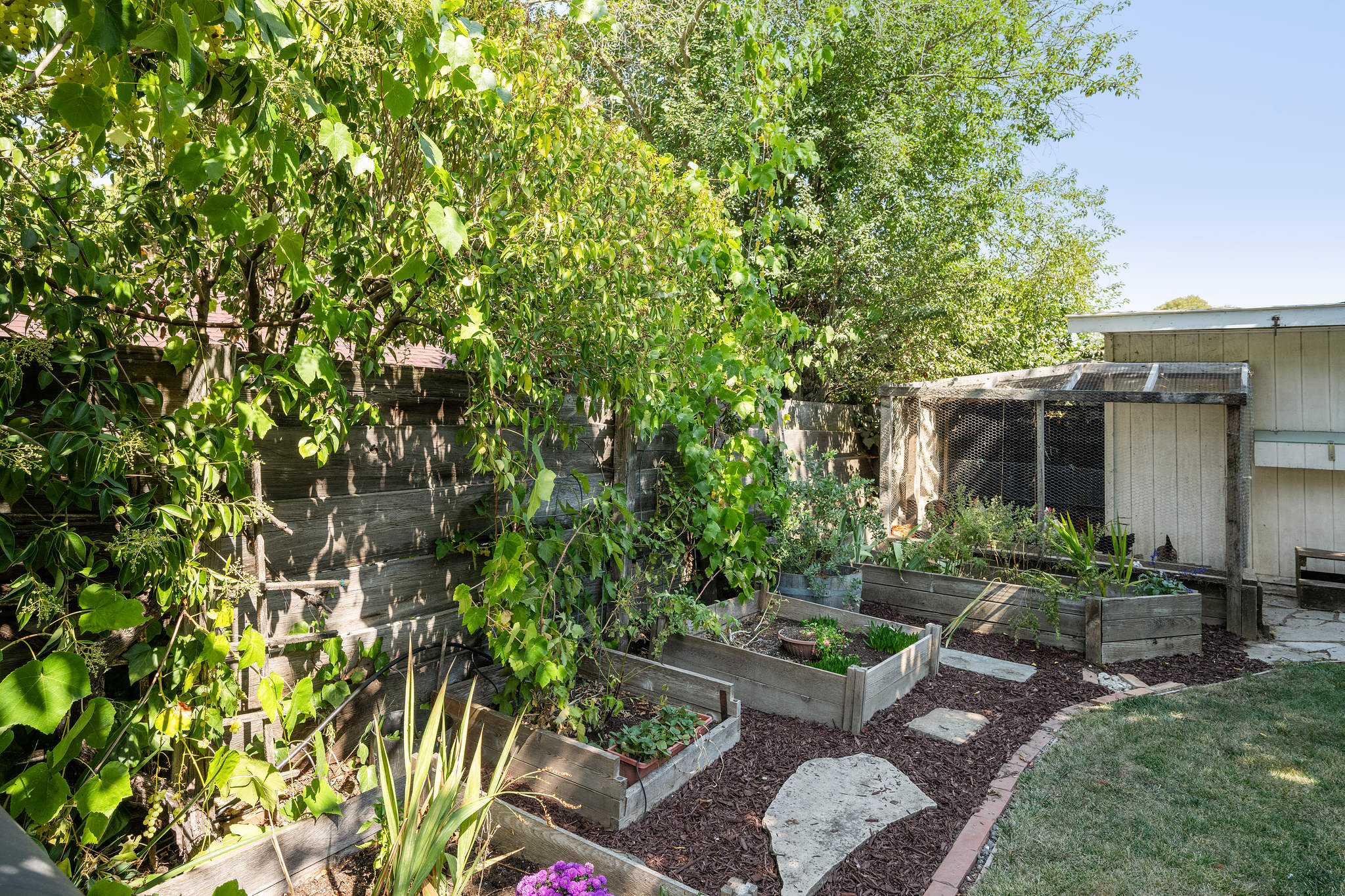 3535 Mayette Avenue