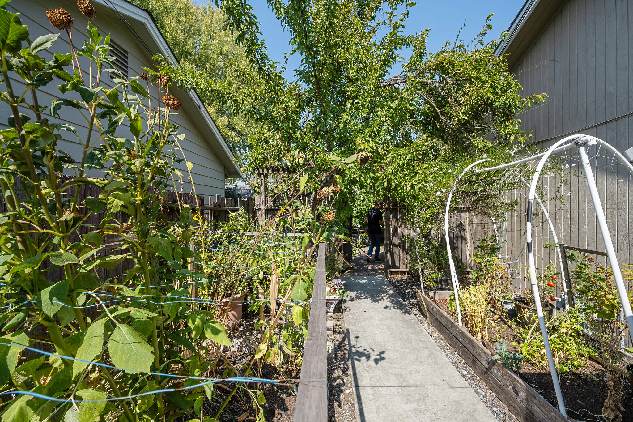 3535 Mayette Avenue