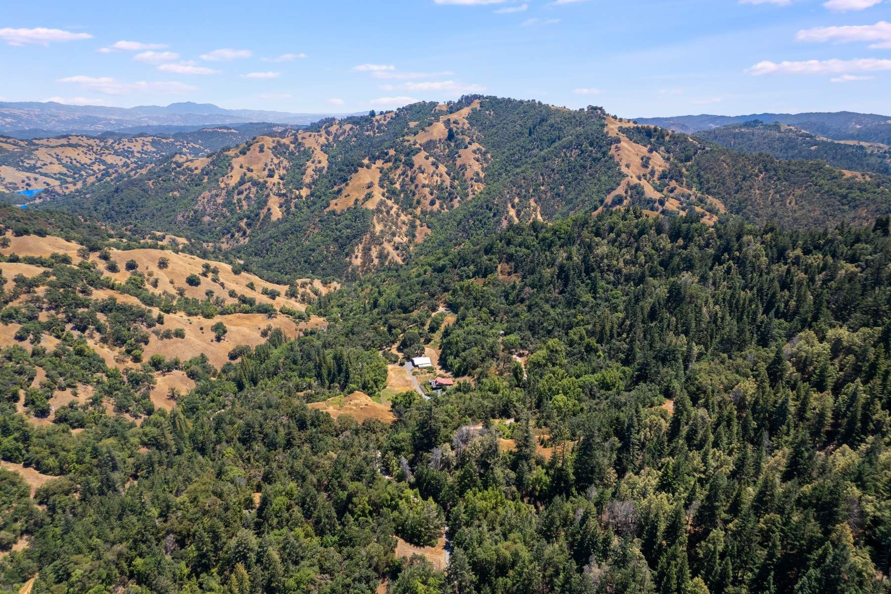 12805 Old Skaggs Springs Road