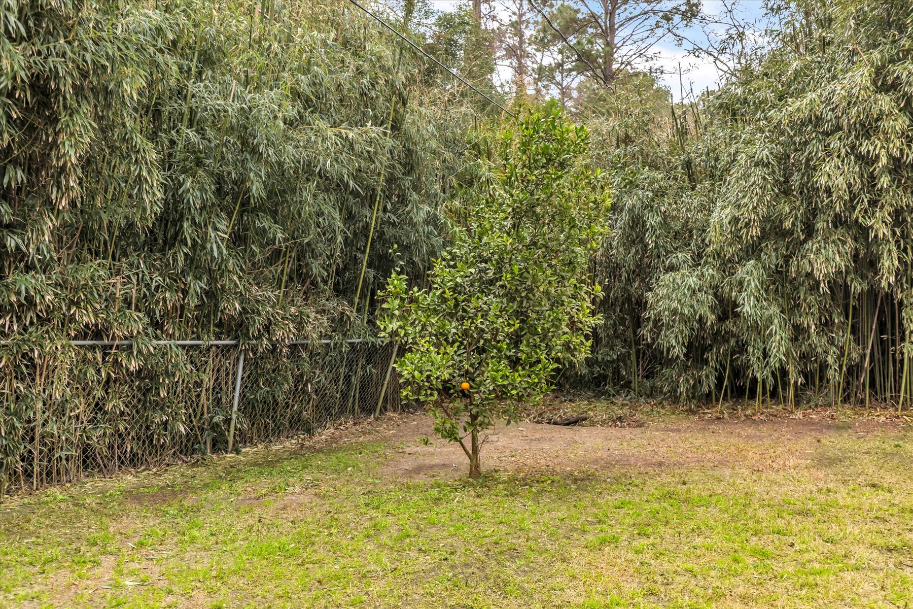 203 Hillary Rd