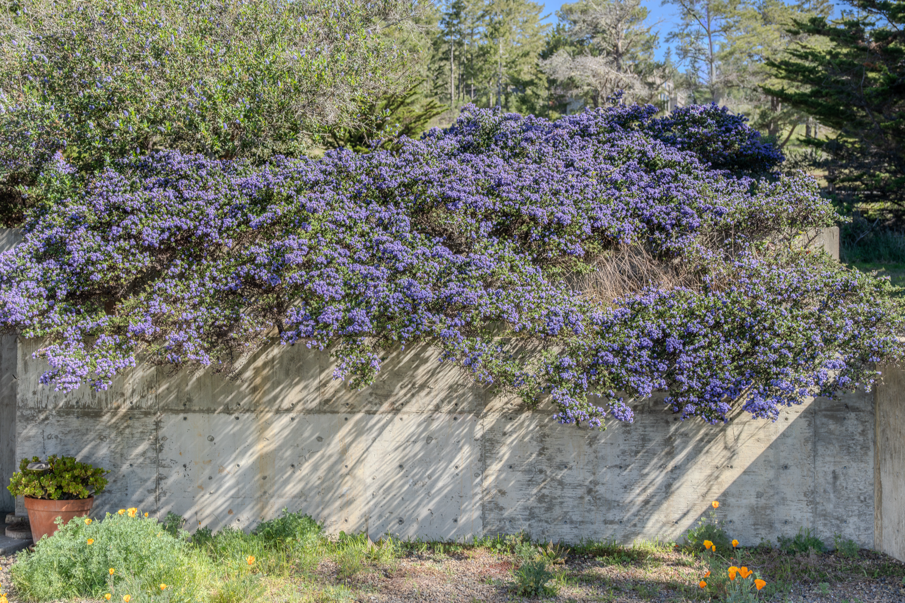 39074 Hedgegate Road