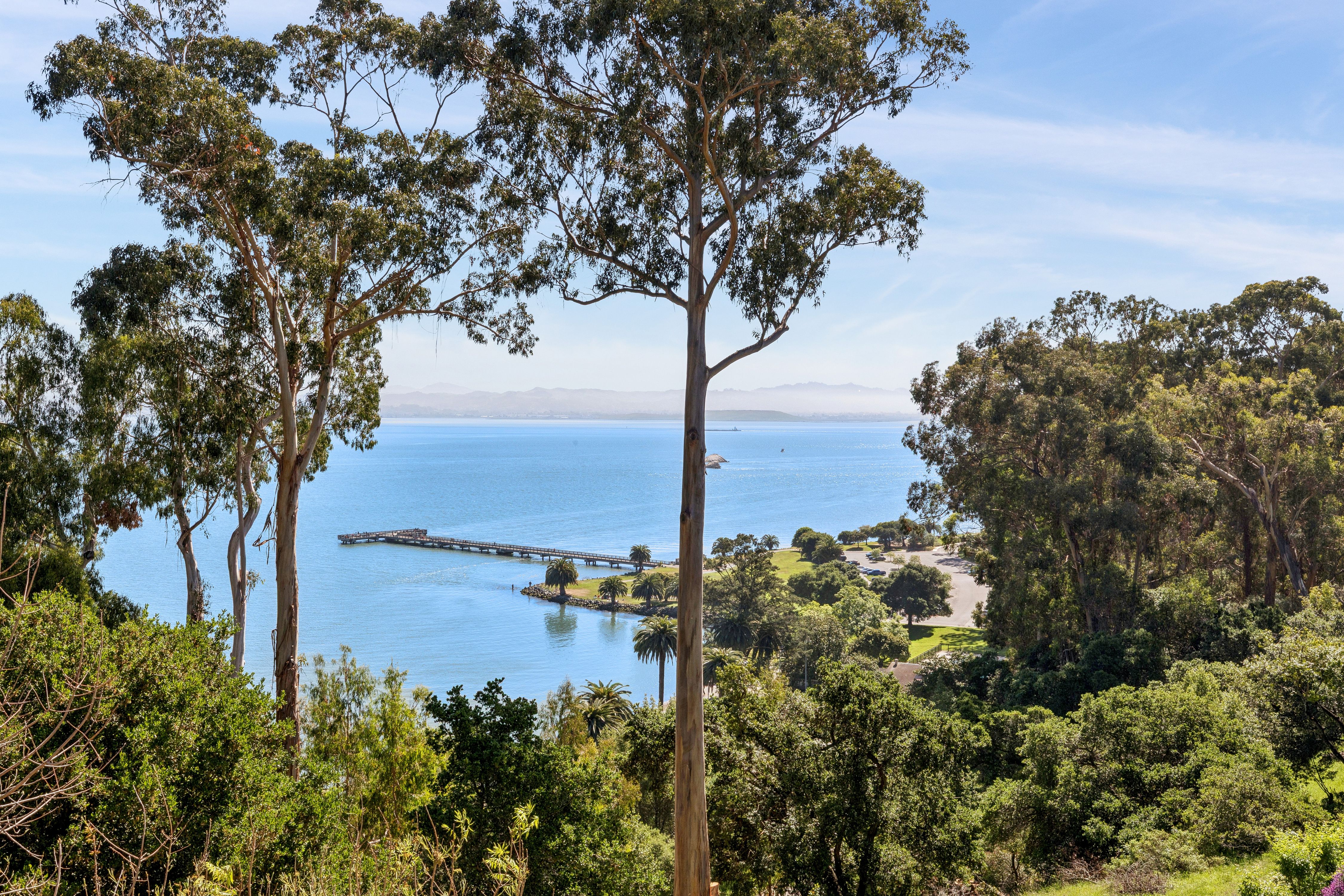 44 Marin Bay Park Court 