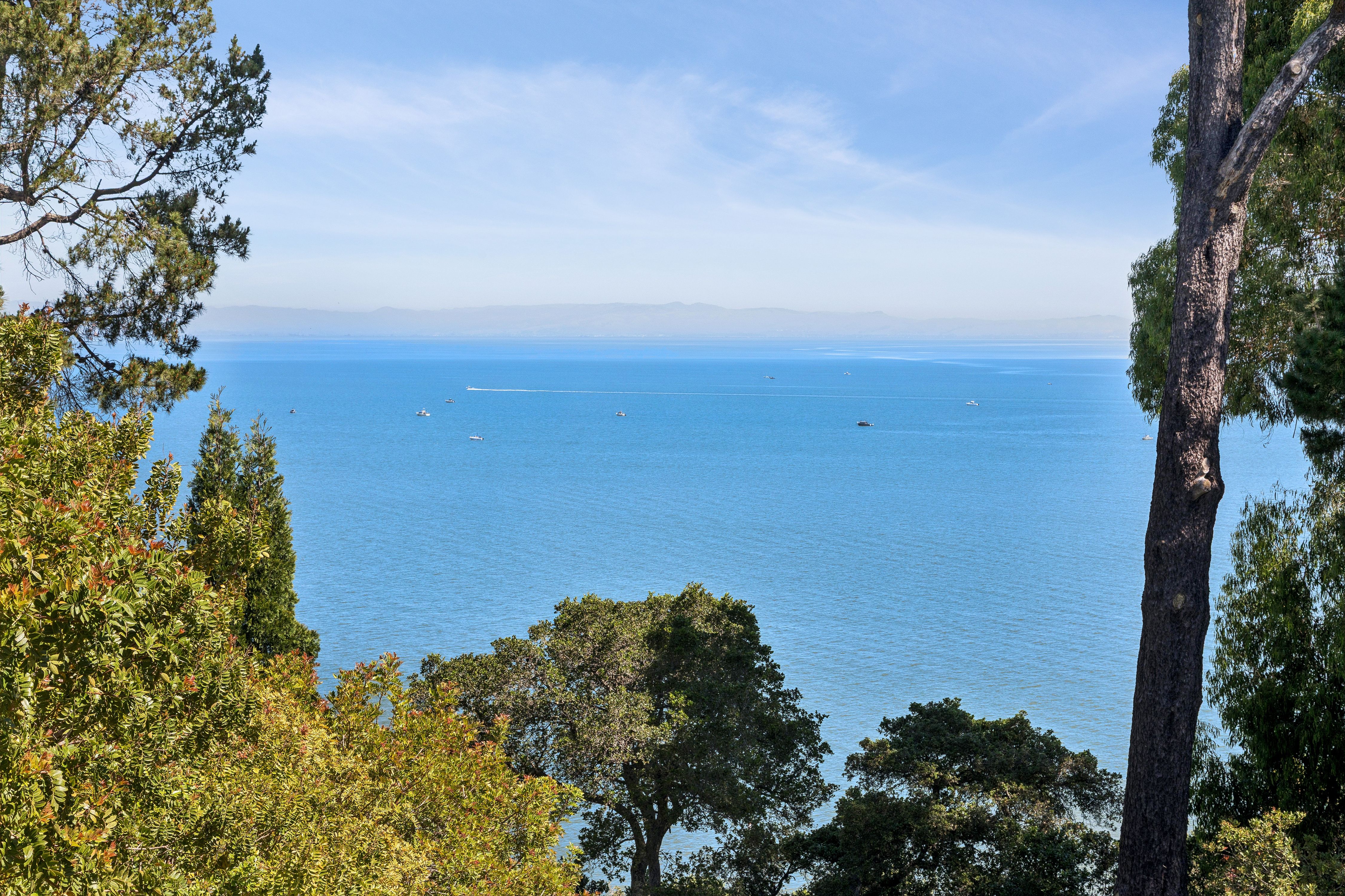 44 Marin Bay Park Court 