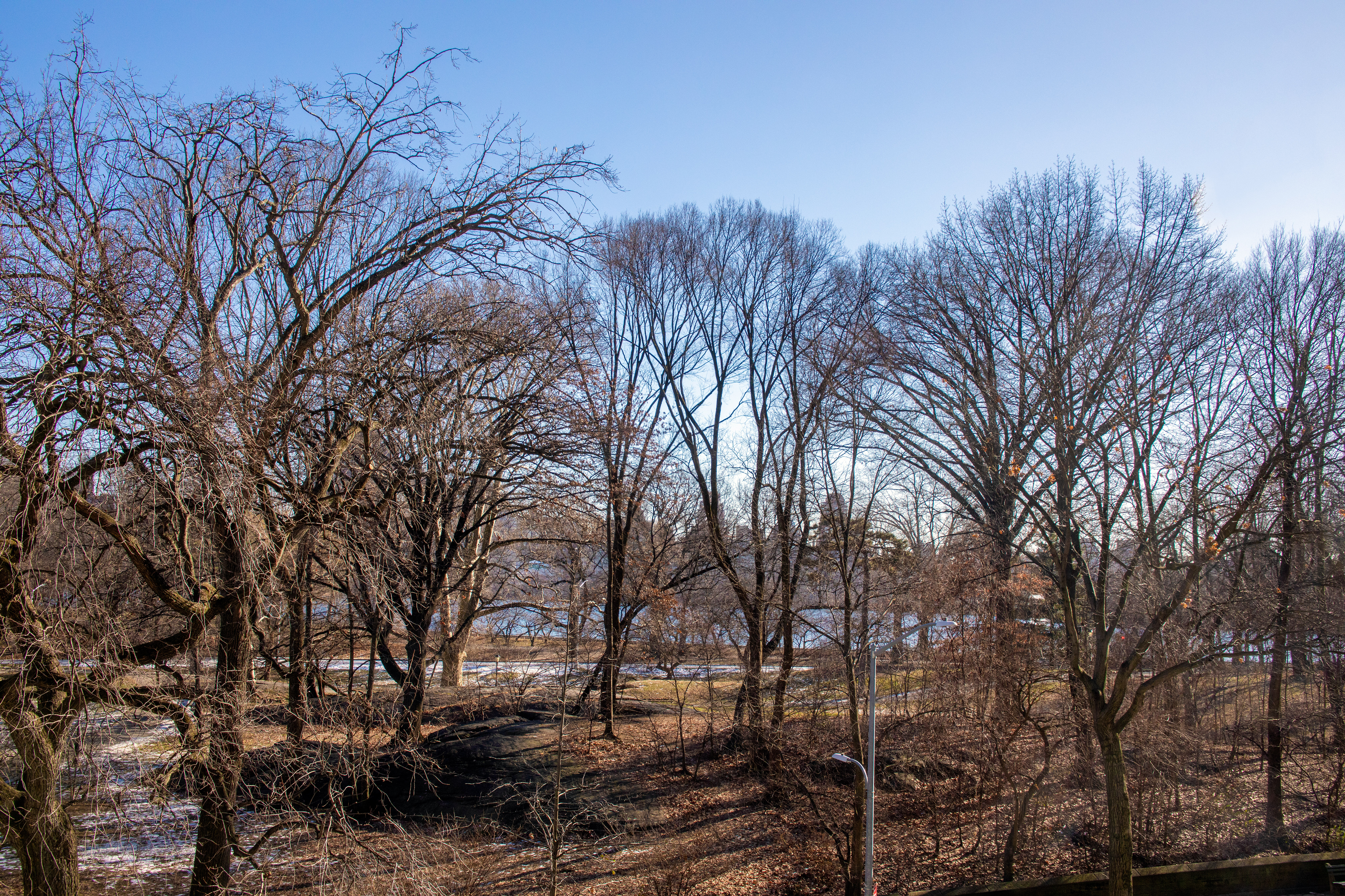 327 Central Park West 4A